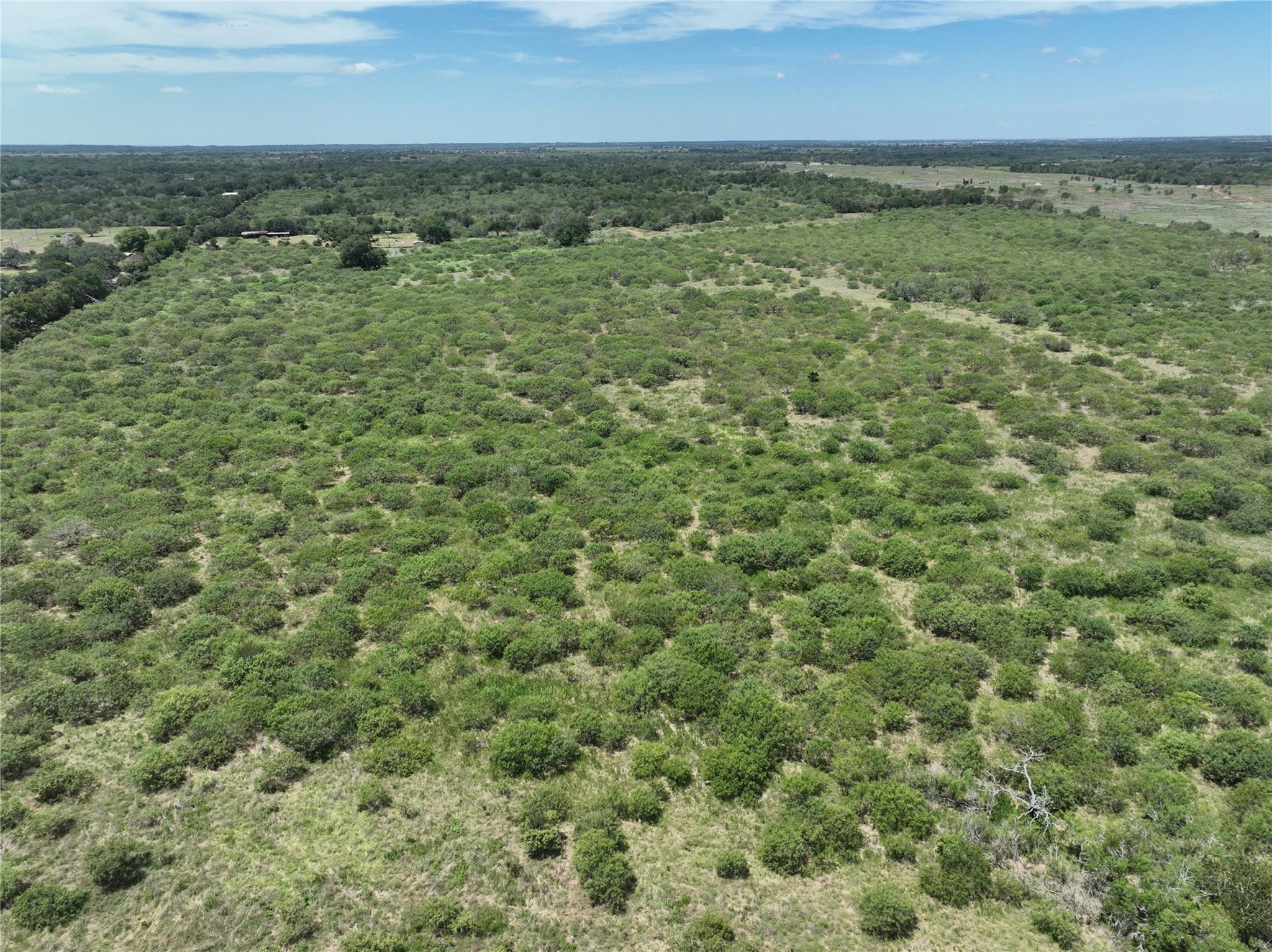 TBD Lot 13 Young Ln, Lockhart, TX 78662
