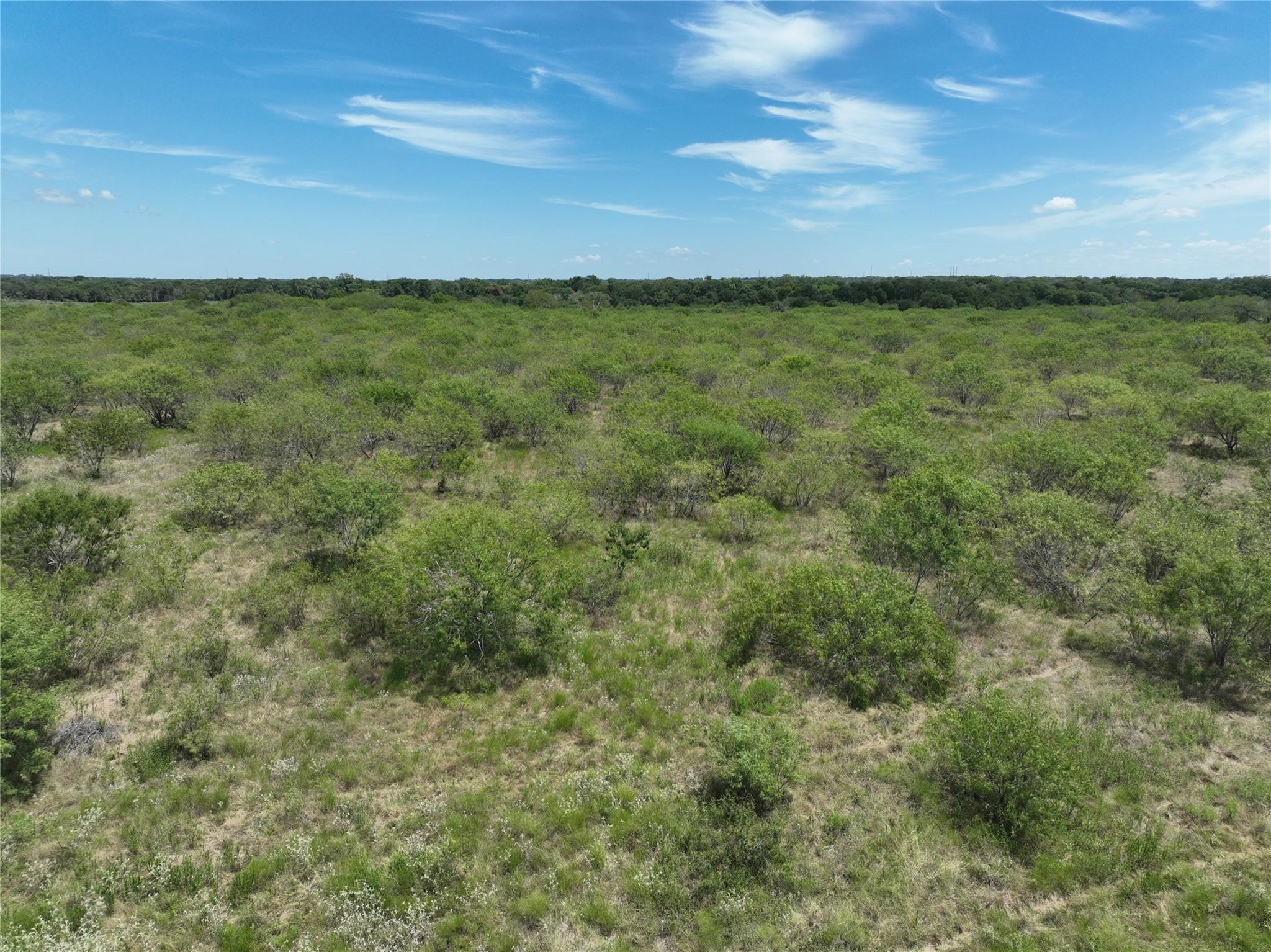TBD Lot 13 Young Ln, Lockhart, TX 78662