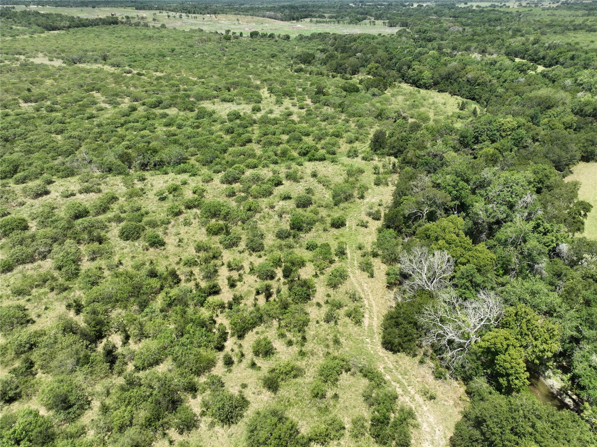 TBD Lot 13 Young Ln, Lockhart, TX 78662