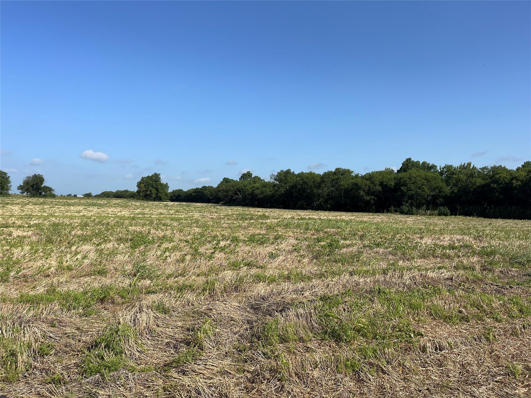13000 Romberg Rd, Holland, TX 76534