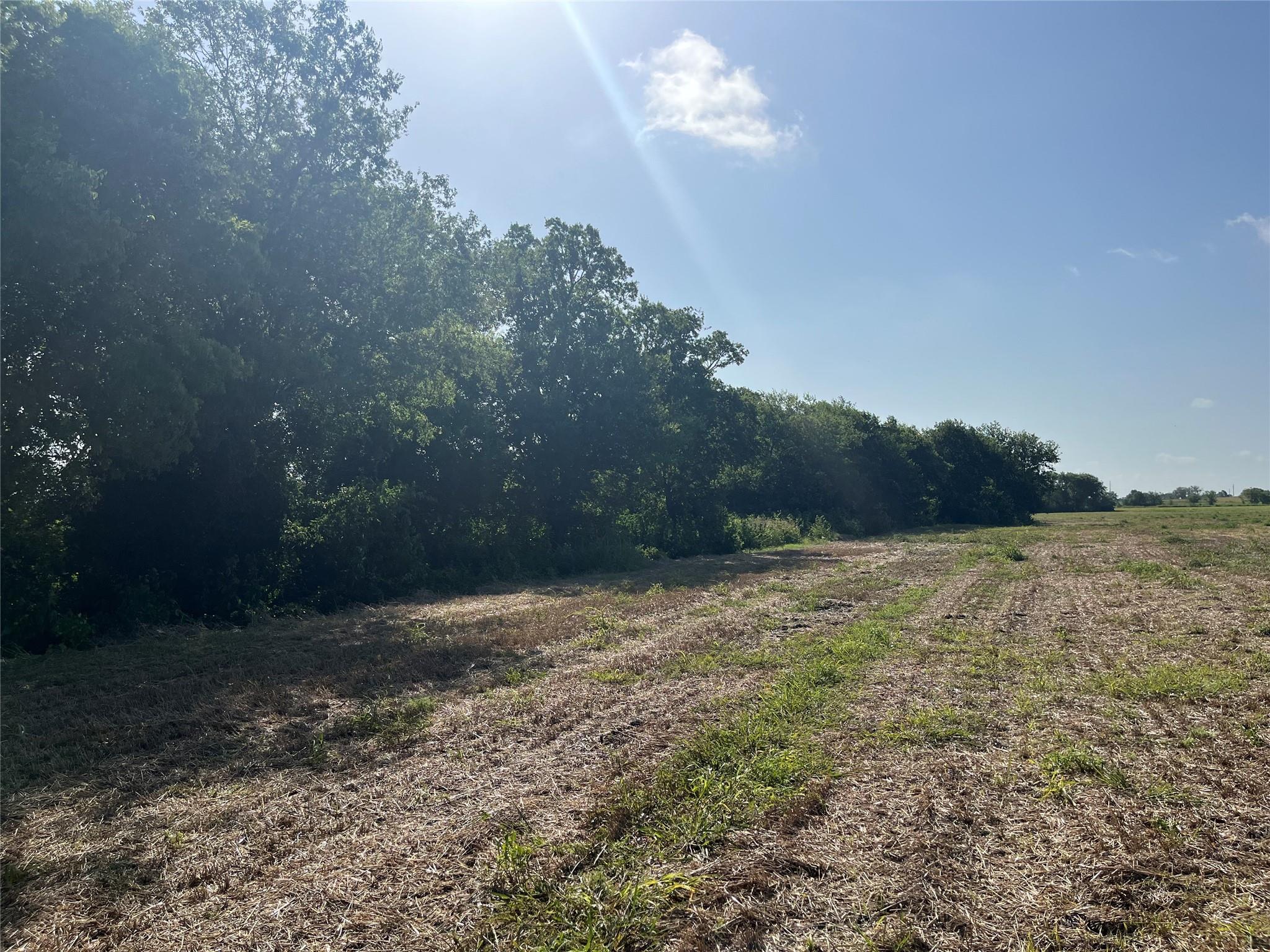 13000 Romberg Rd, Holland, TX 76534