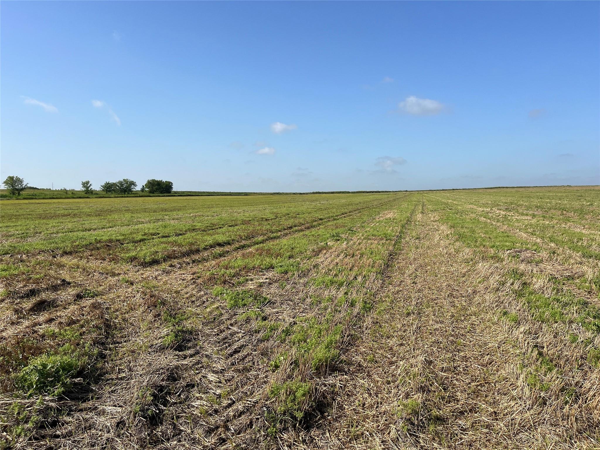 13000 Romberg Rd, Holland, TX 76534