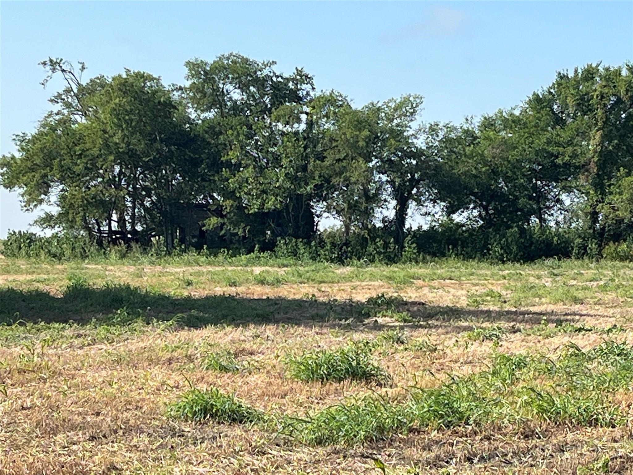 13000 Romberg Rd, Holland, TX 76534