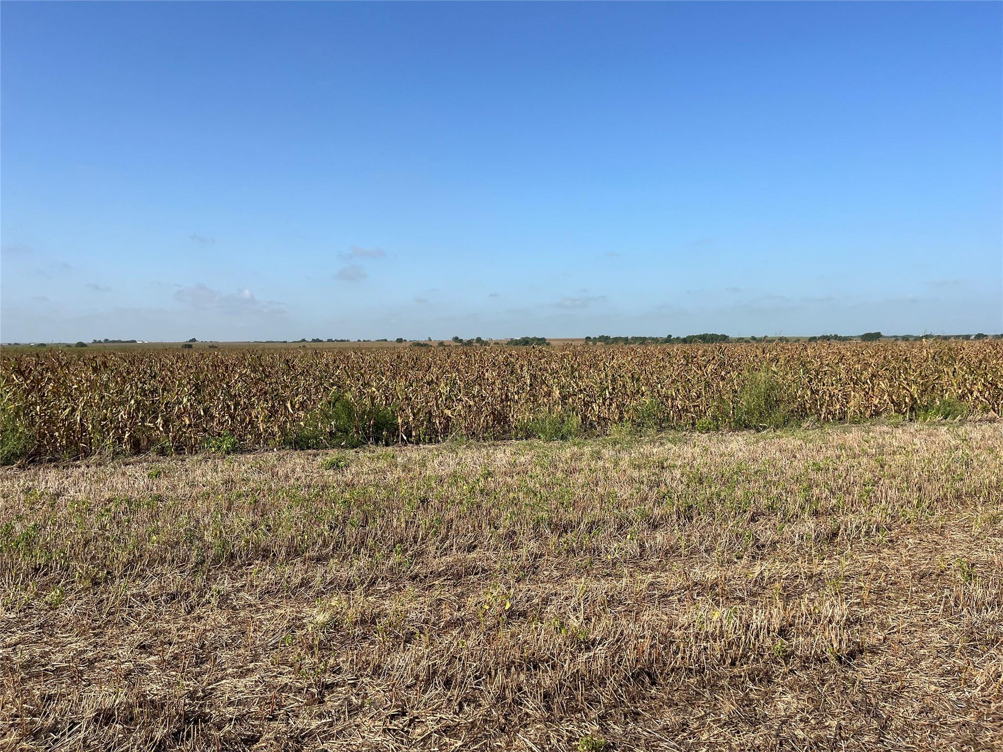 13000 Romberg Rd, Holland, TX 76534