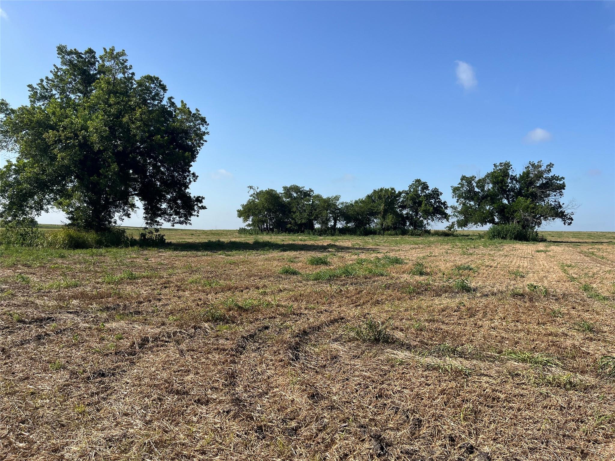 13000 Romberg Rd, Holland, TX 76534