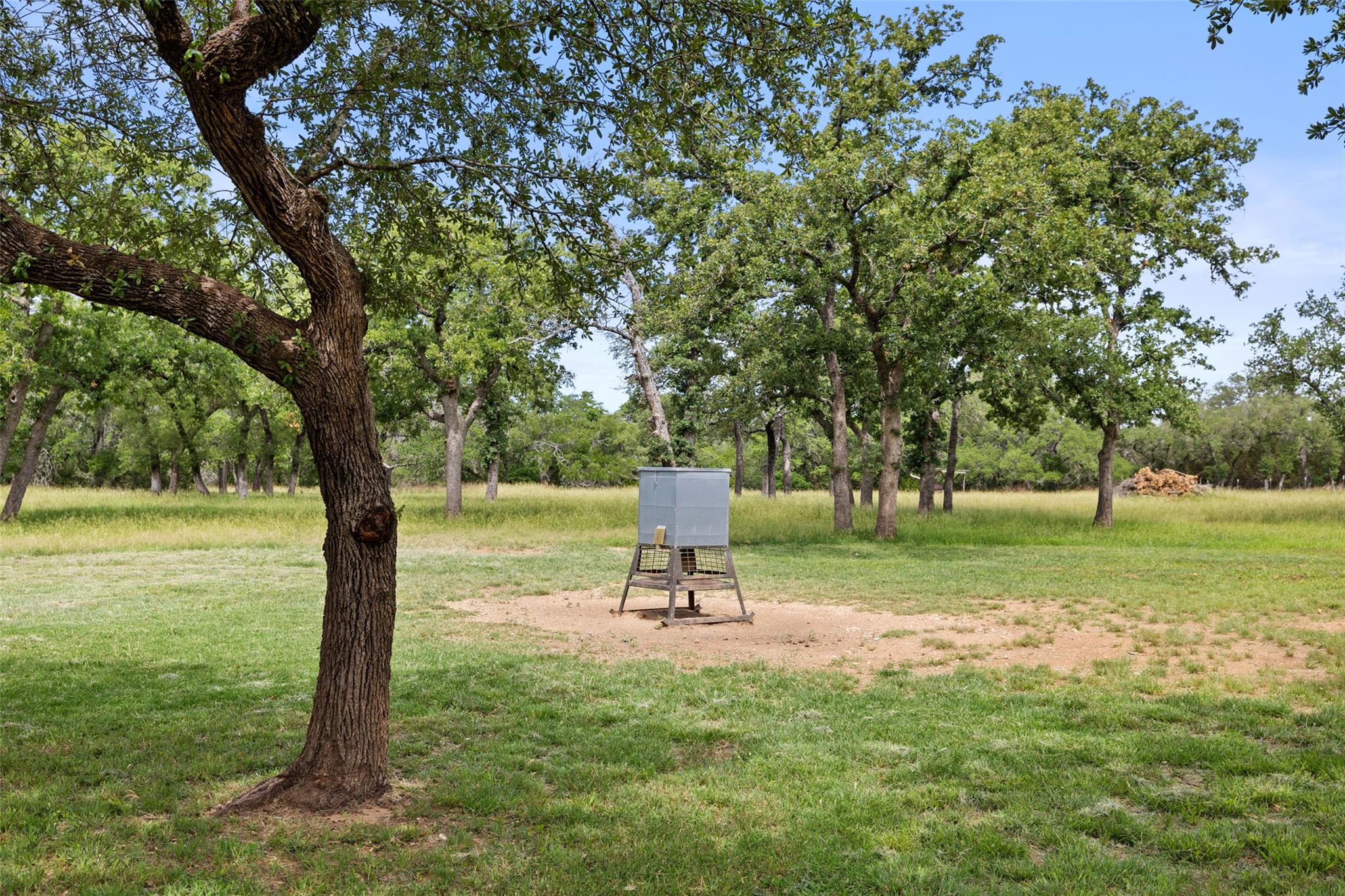 1241 Sandy Oaks Ranch Rd, Johnson City, TX 78636