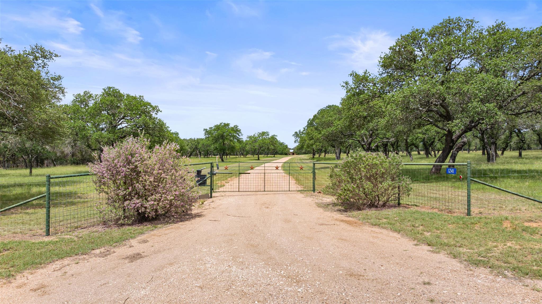 1241 Sandy Oaks Ranch Rd, Johnson City, TX 78636