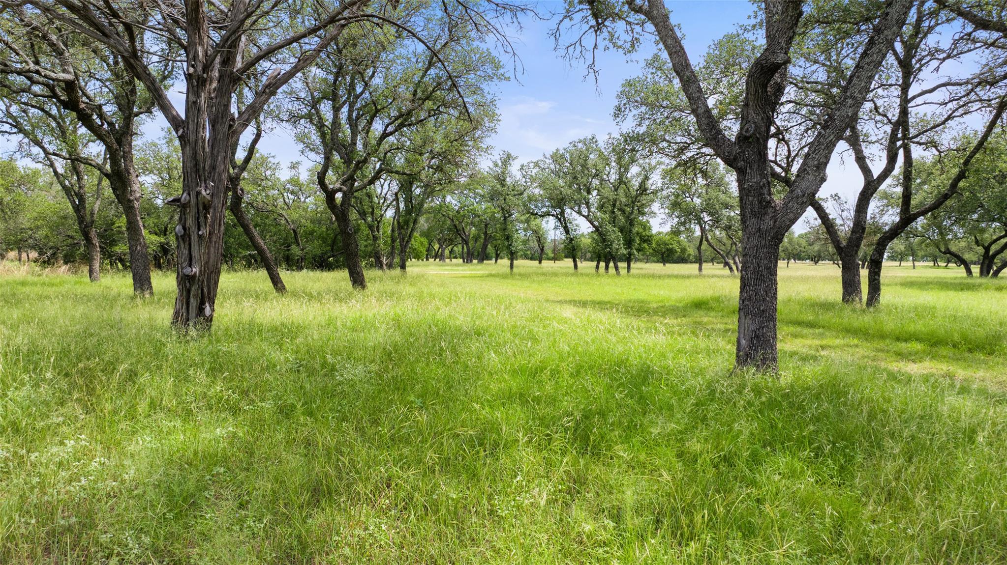 1241 Sandy Oaks Ranch Rd, Johnson City, TX 78636