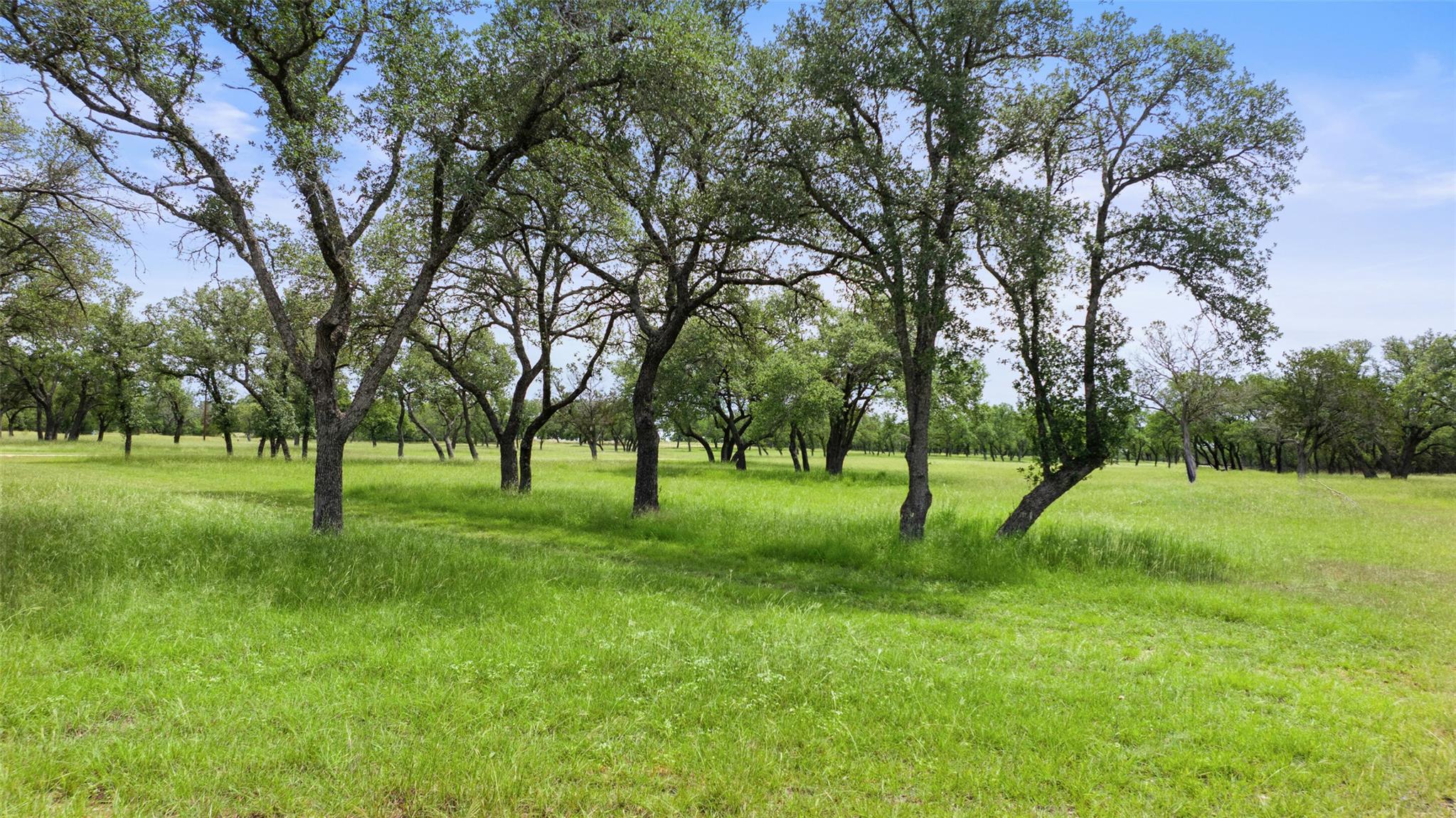 1241 Sandy Oaks Ranch Rd, Johnson City, TX 78636