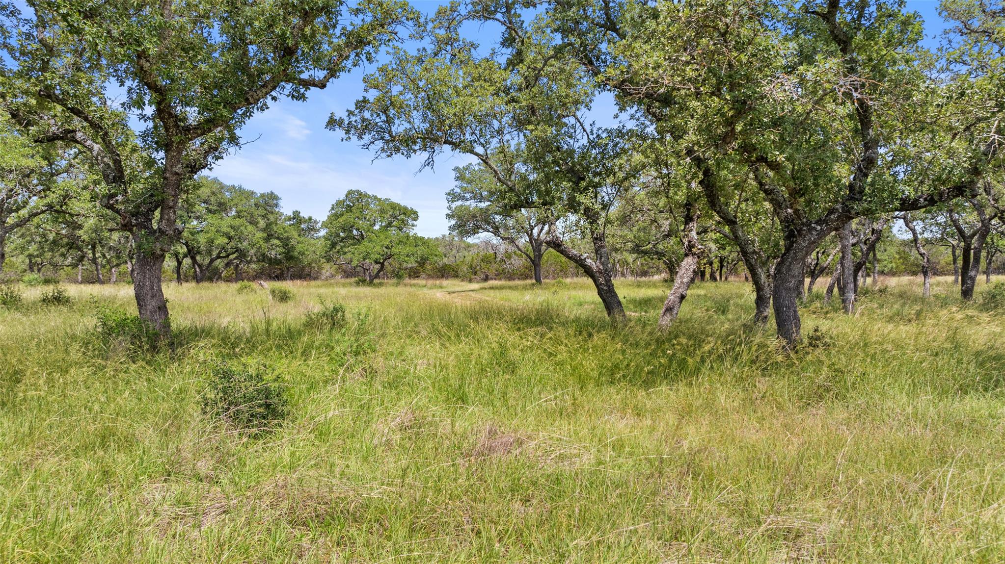 1241 Sandy Oaks Ranch Rd, Johnson City, TX 78636