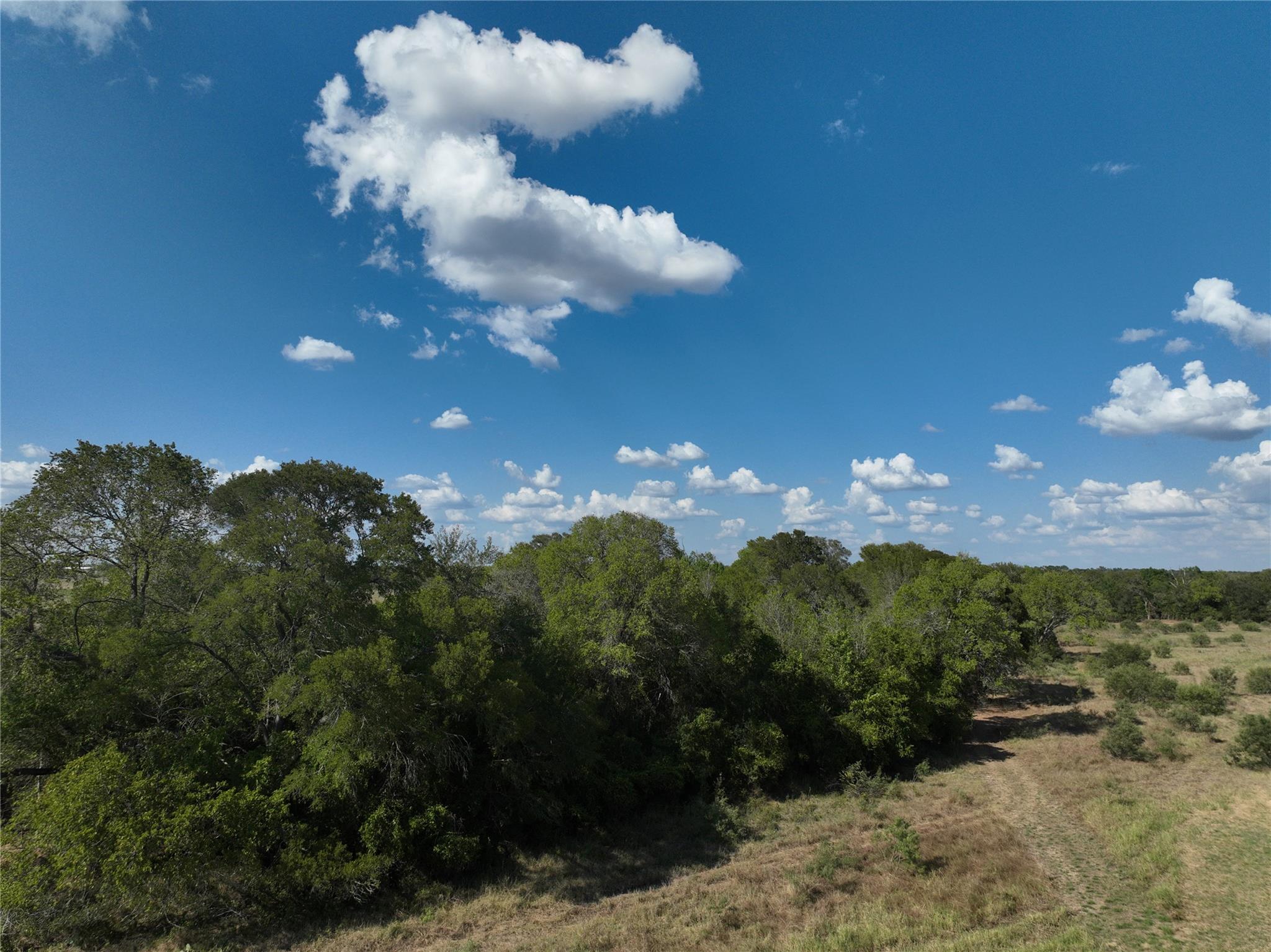 TBD Lot 5 Pettytown Rd, Dale, TX 78616