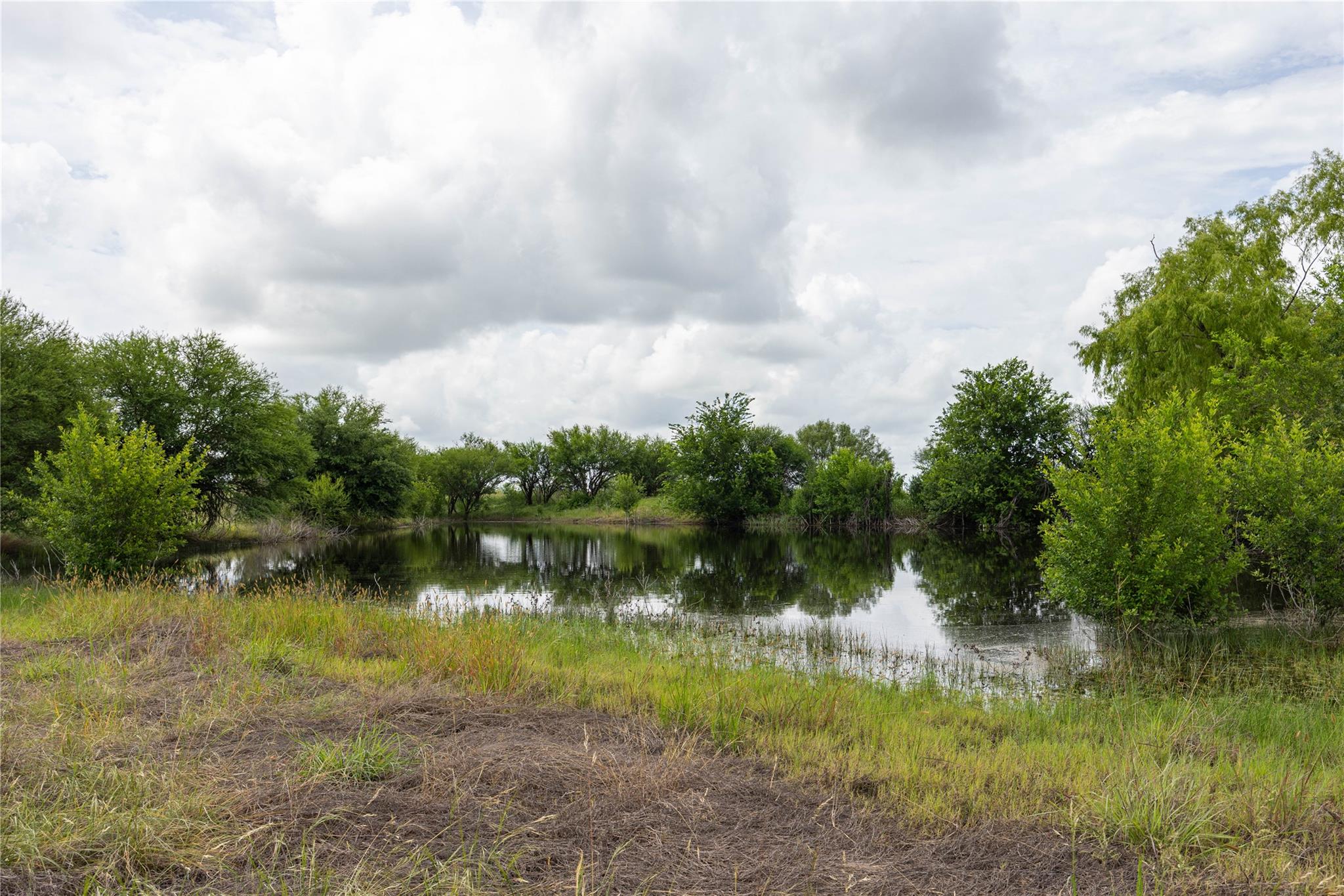 6868 Pfeil Rd, Schertz, TX 78154