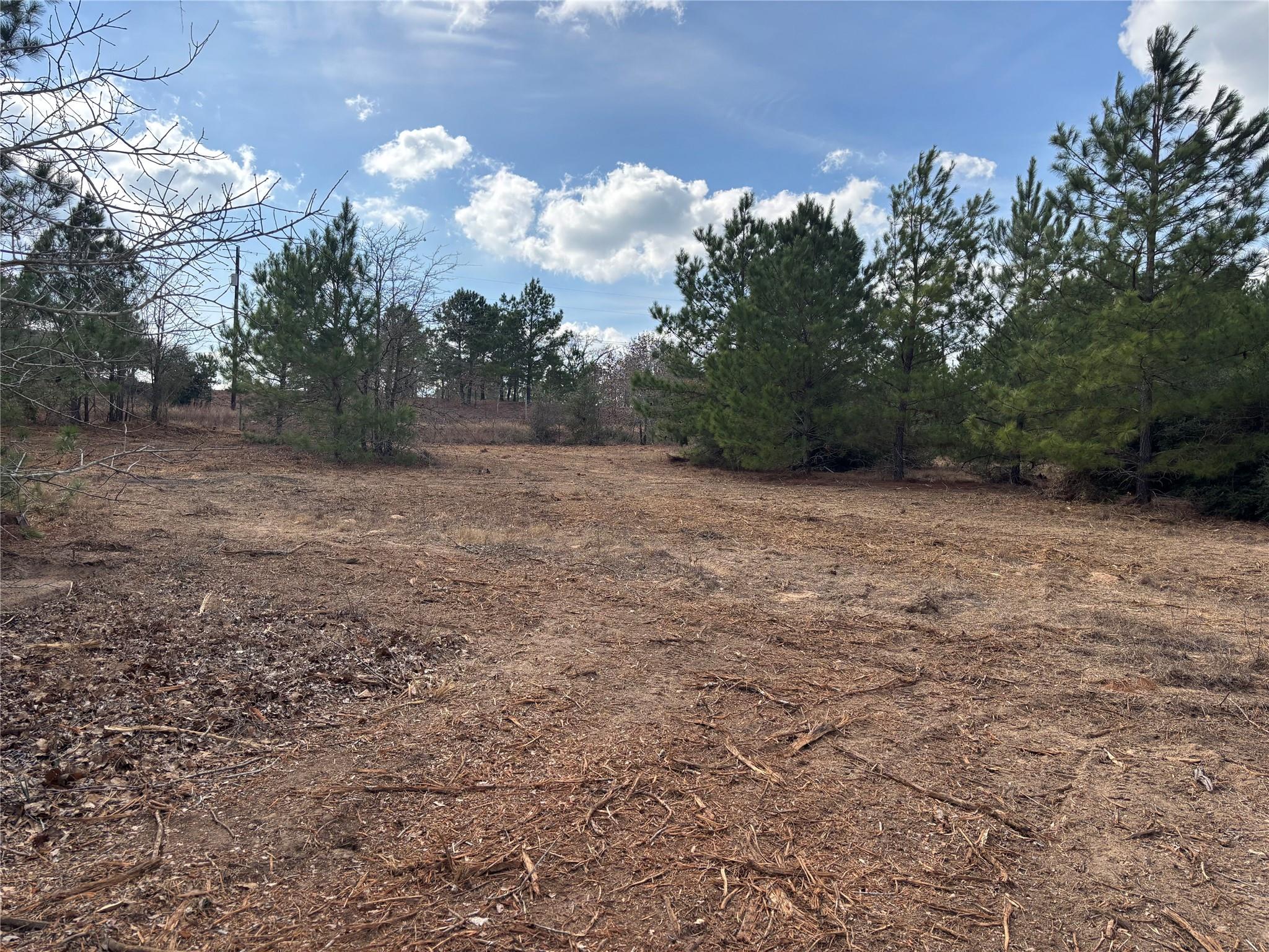 187 K C Dr, Bastrop, TX 78602