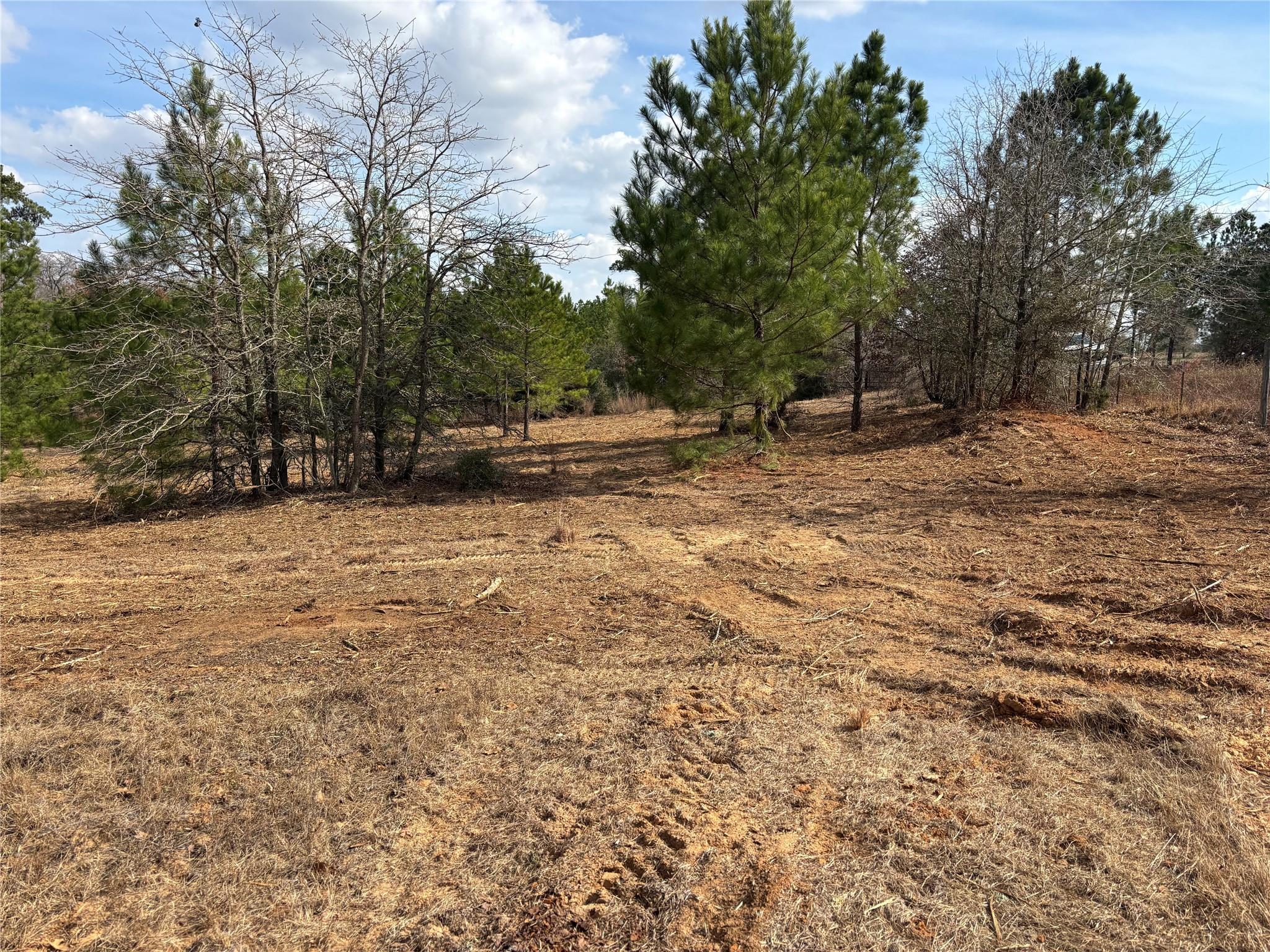 187 K C Dr, Bastrop, TX 78602