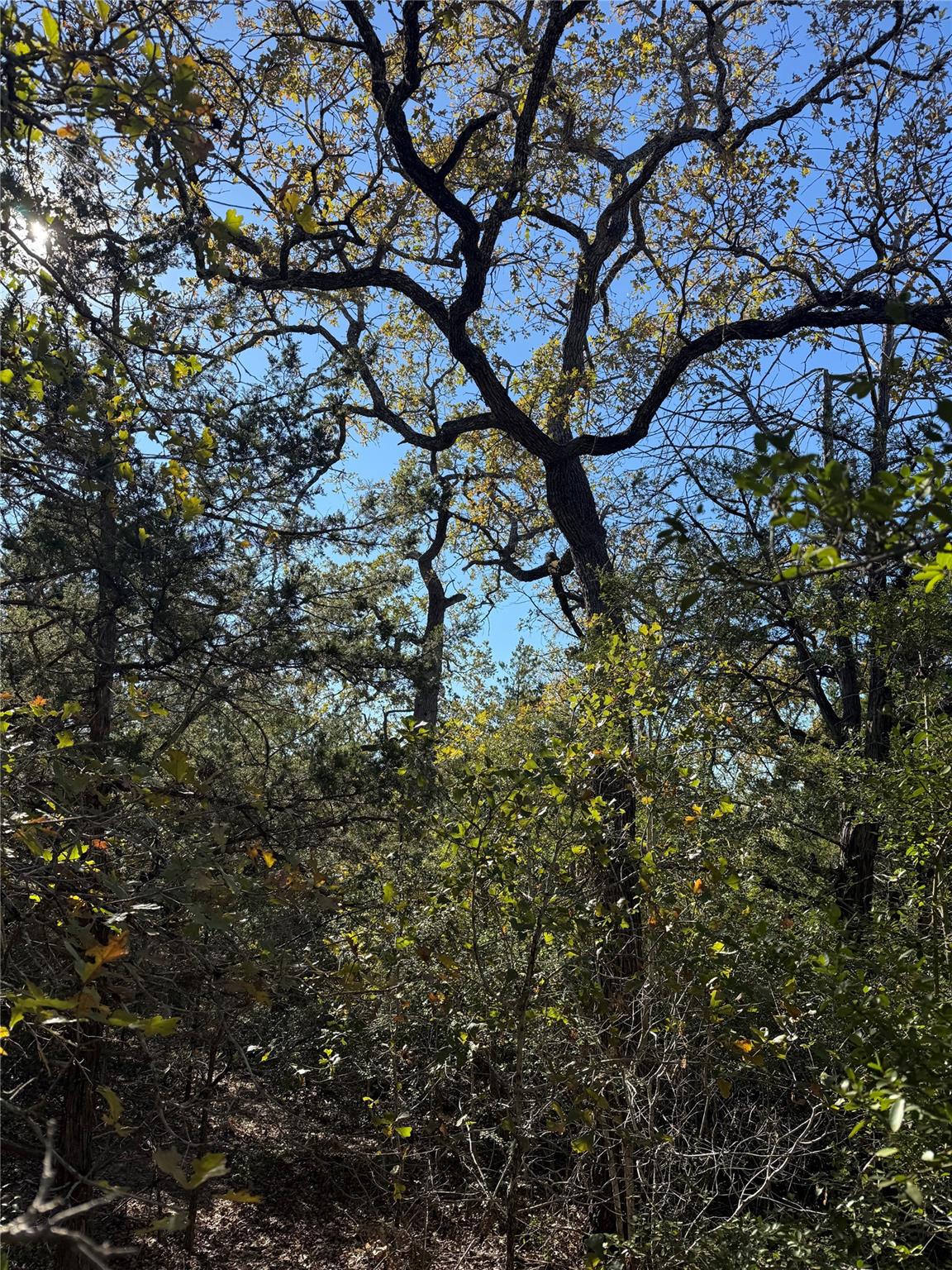 628 Leisure Ln, Cedar Creek, TX 78612
