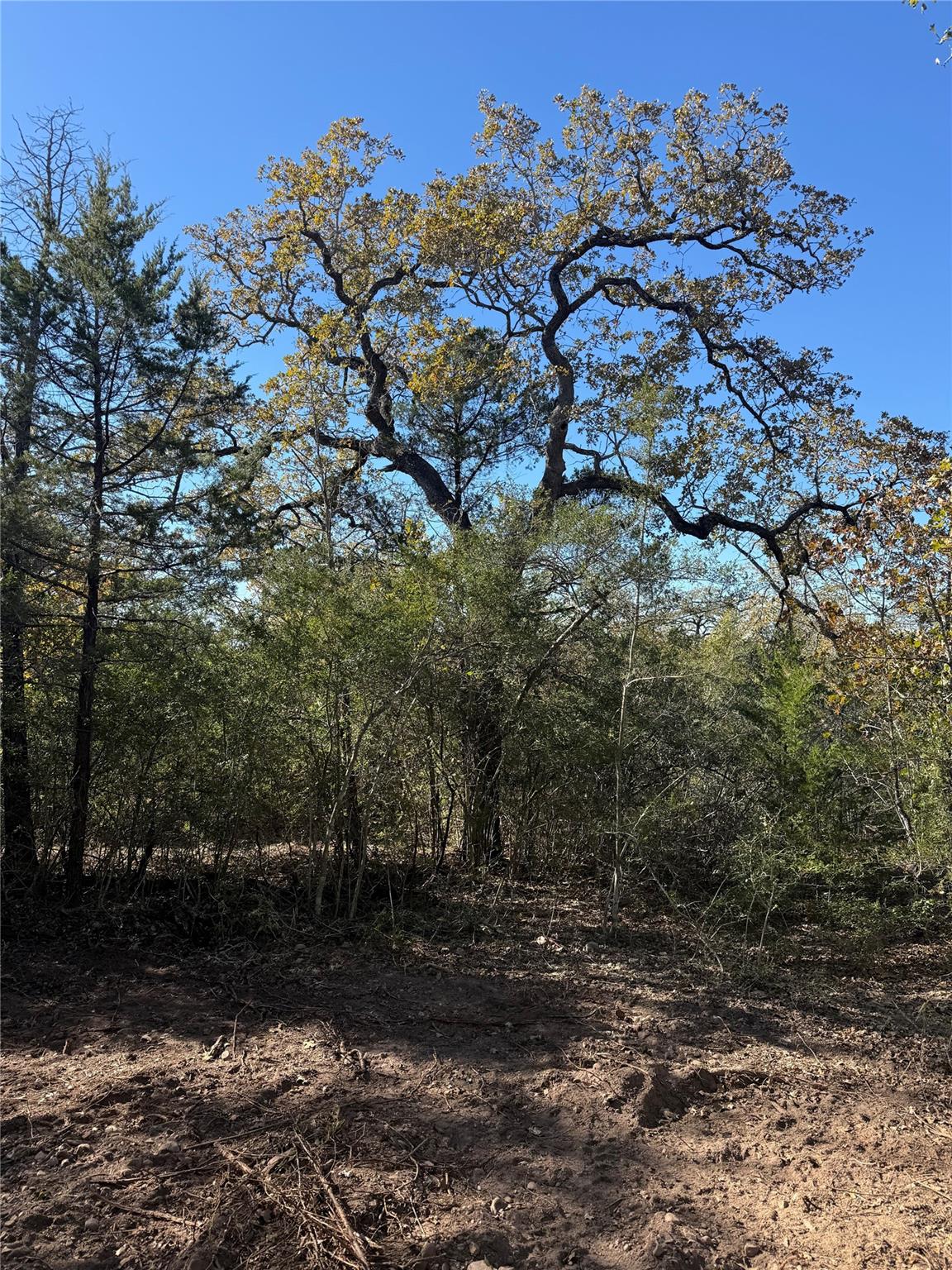628 Leisure Ln, Cedar Creek, TX 78612