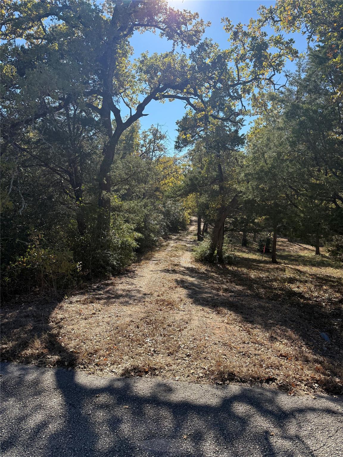628 Leisure Ln, Cedar Creek, TX 78612