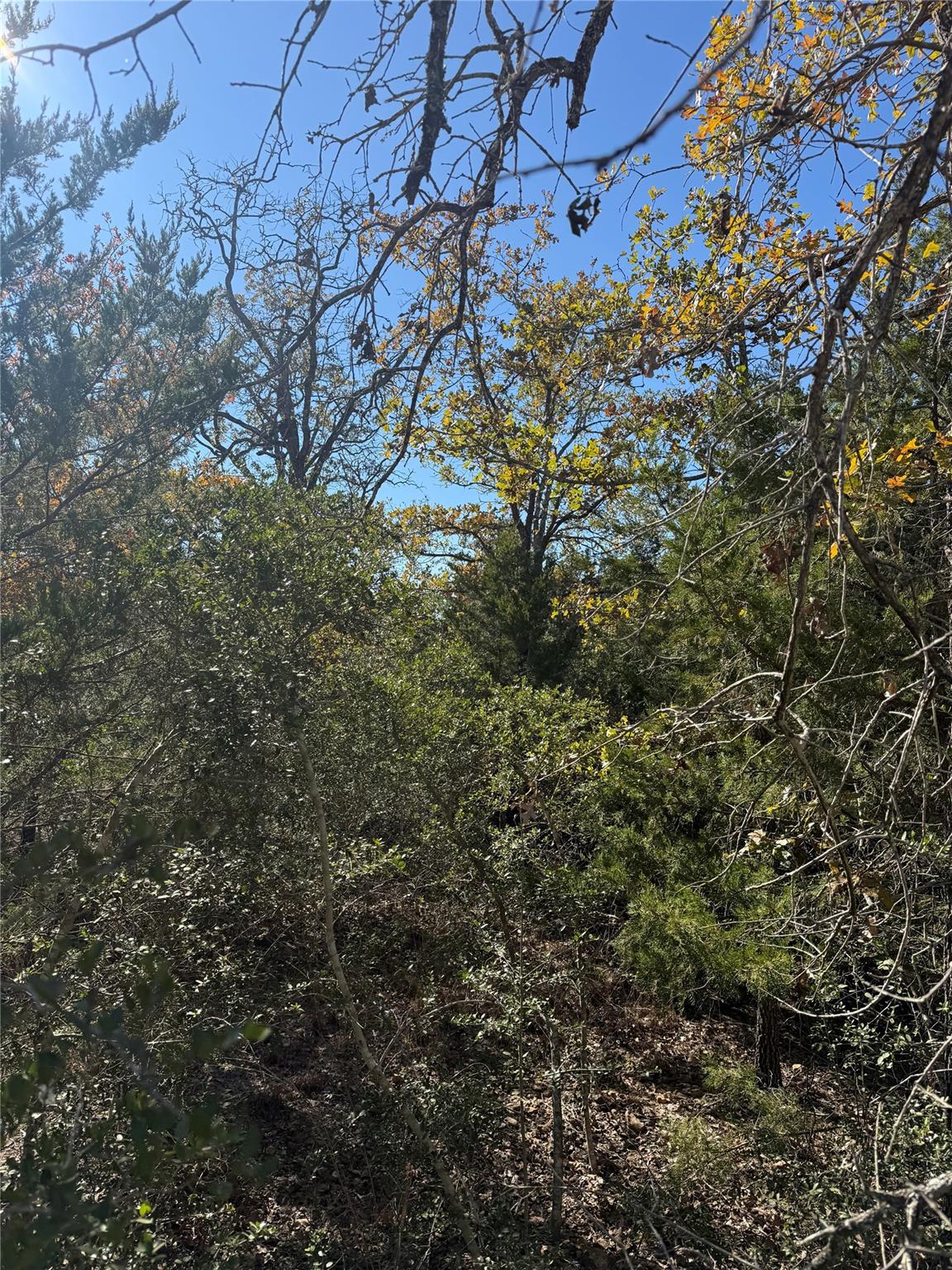 628 Leisure Ln, Cedar Creek, TX 78612