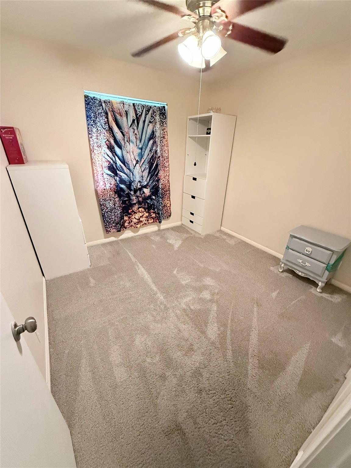 411 Estate Dr, Hutto, TX 78634