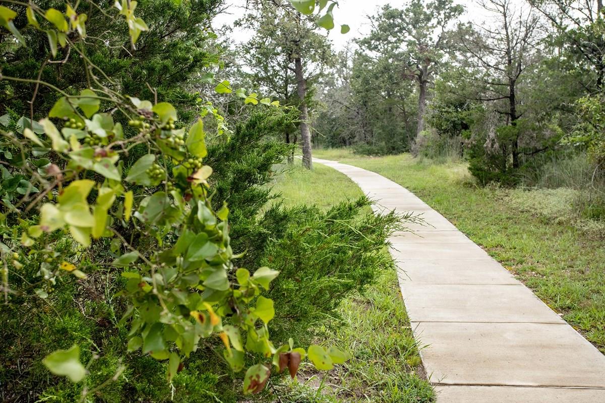 116 Pinyon Pine Dr, Bastrop, TX 78602