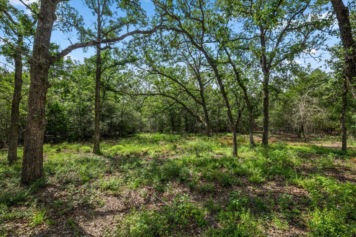 138 Wood Hollow Ct, Bastrop, TX 78602