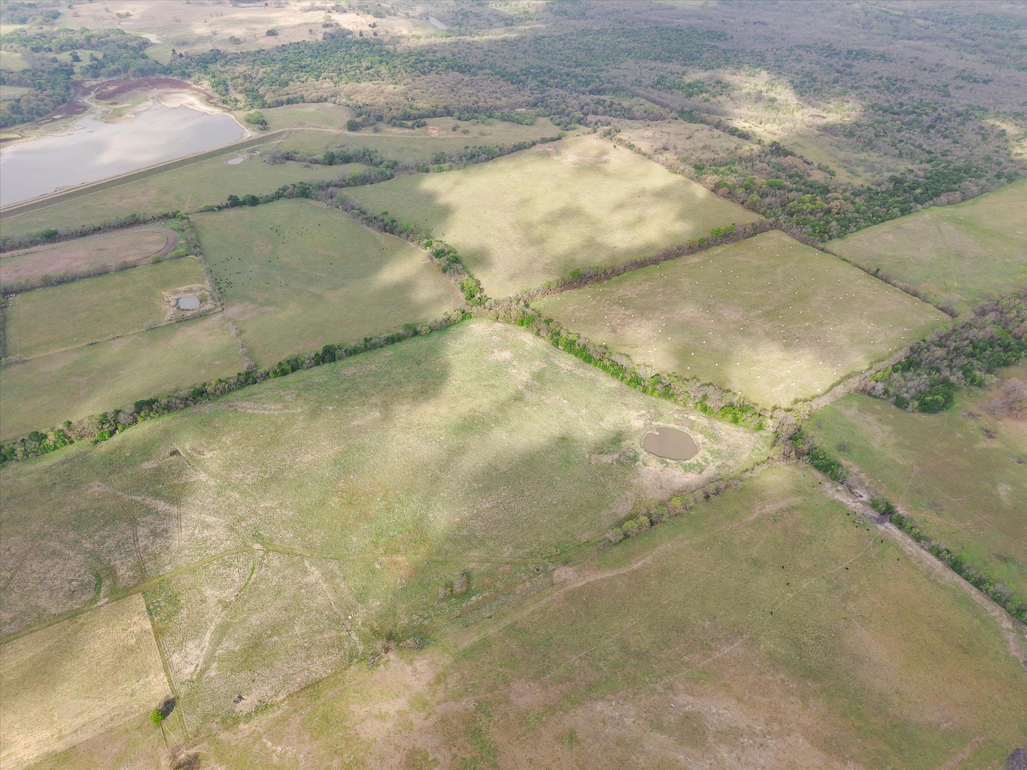 TBD FM 709, Pursley, TX 76679