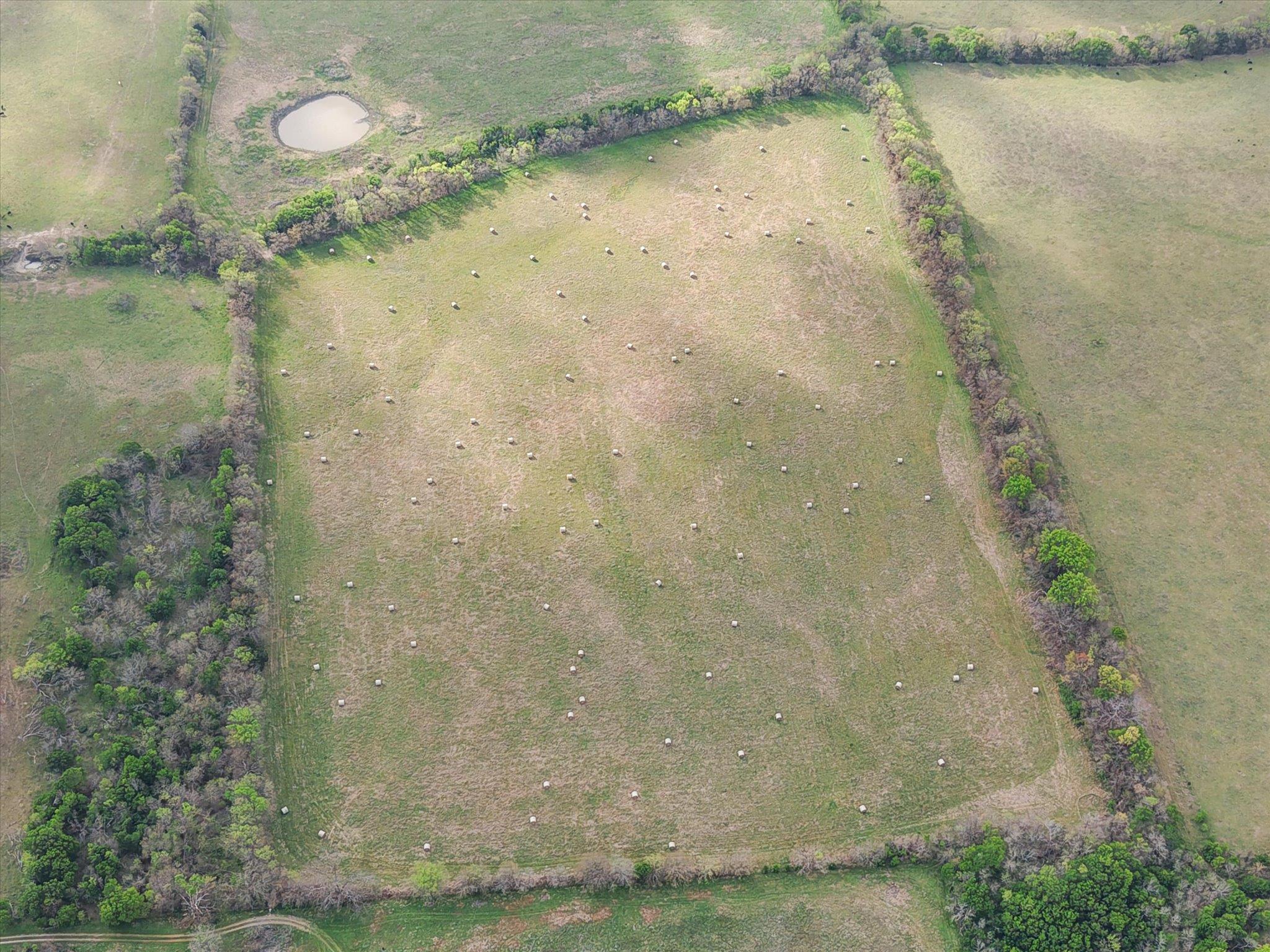 TBD FM 709, Pursley, TX 76679