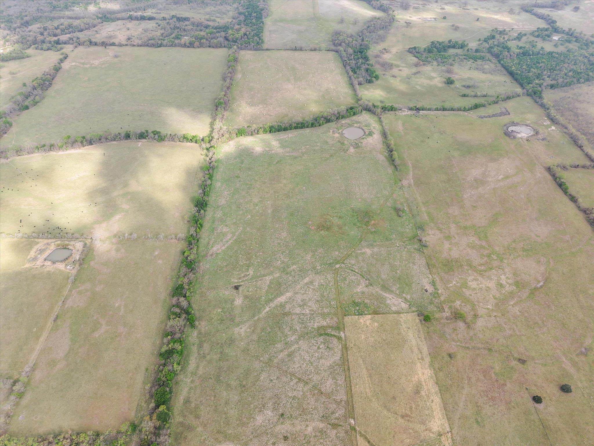 TBD FM 709, Pursley, TX 76679