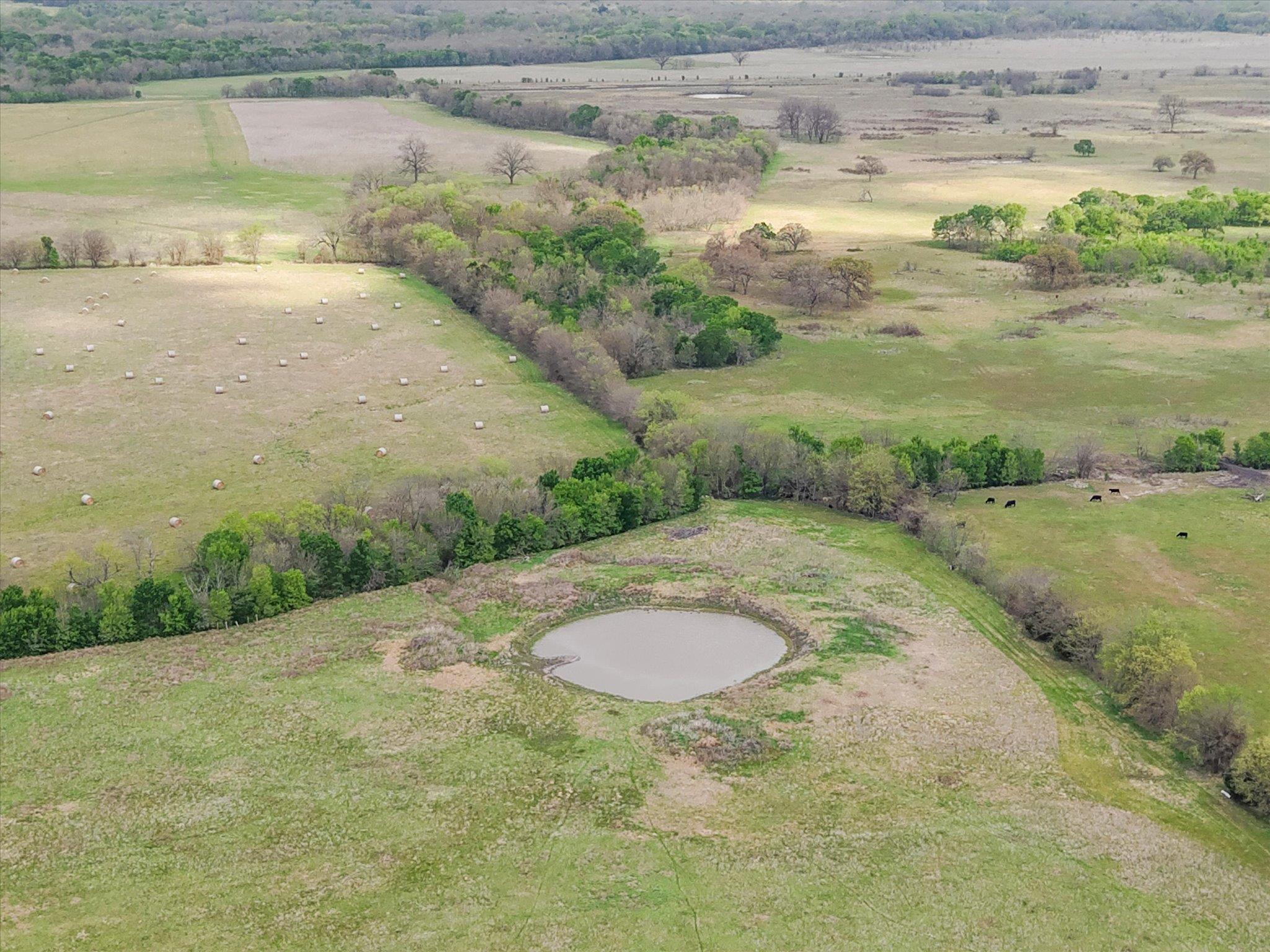 TBD FM 709, Pursley, TX 76679