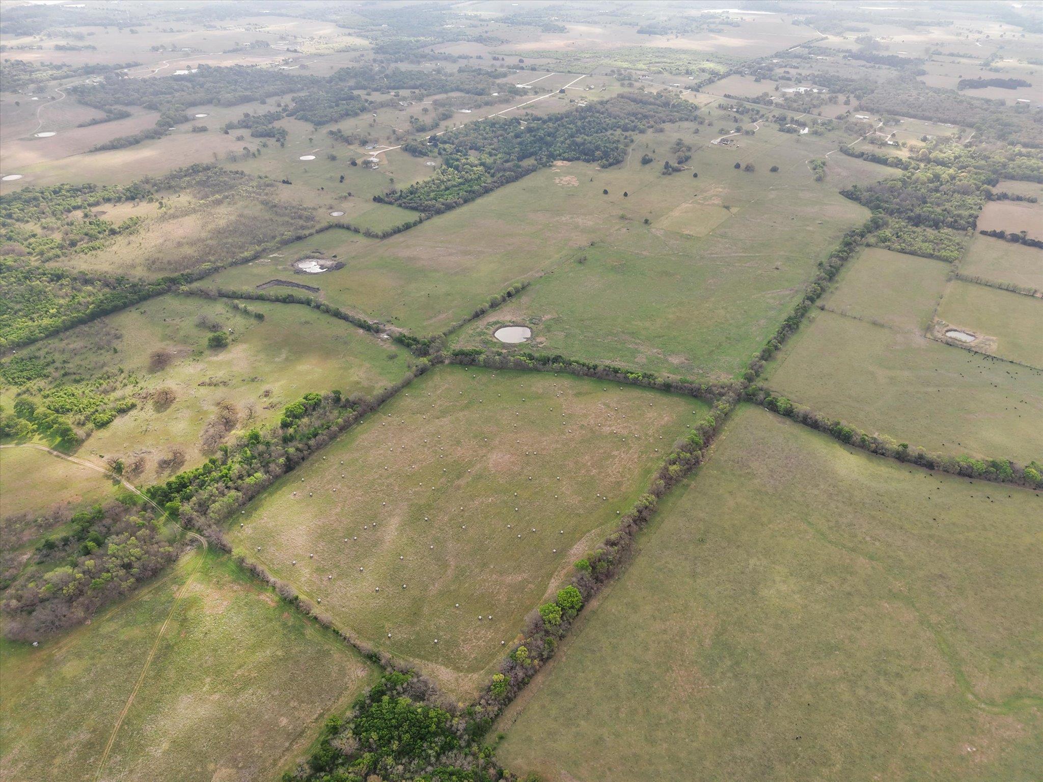 TBD FM 709, Pursley, TX 76679