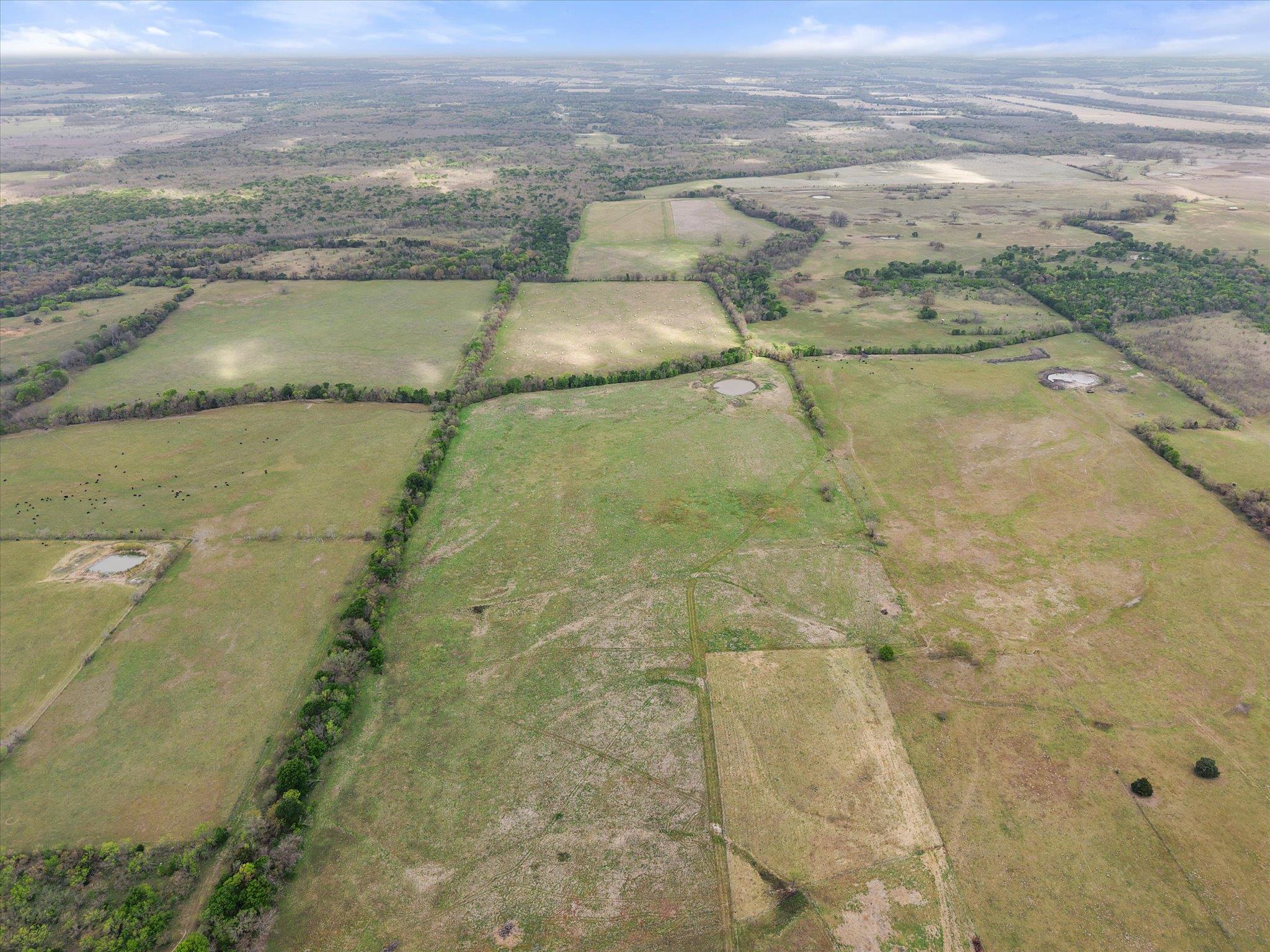 TBD FM 709, Pursley, TX 76679