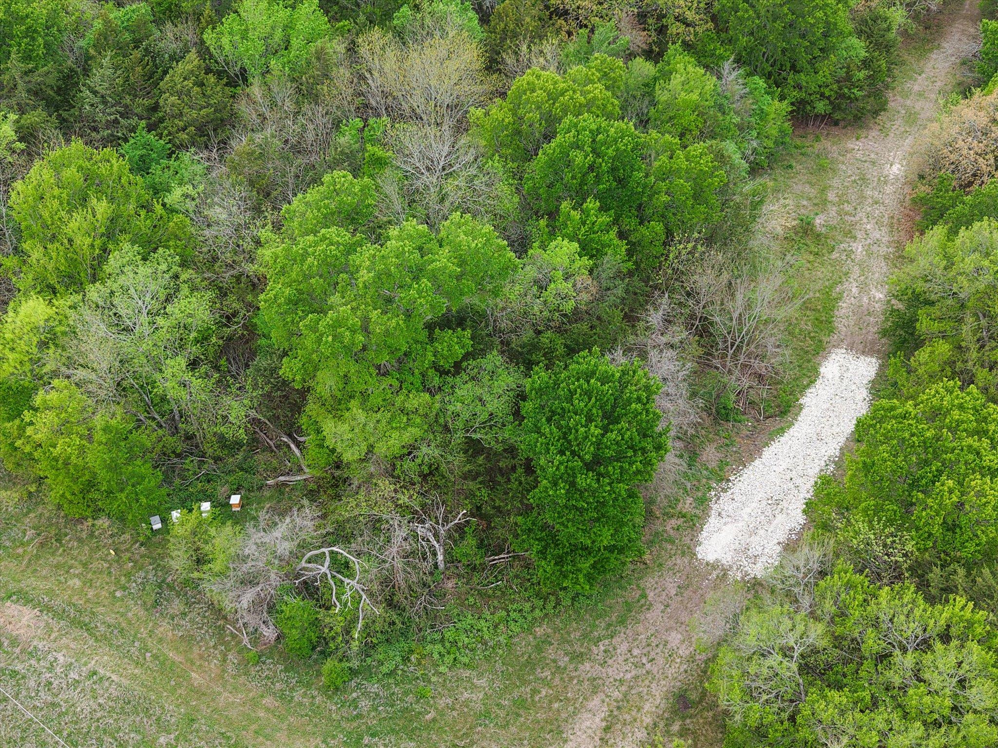 TBD FM 709, Pursley, TX 76679