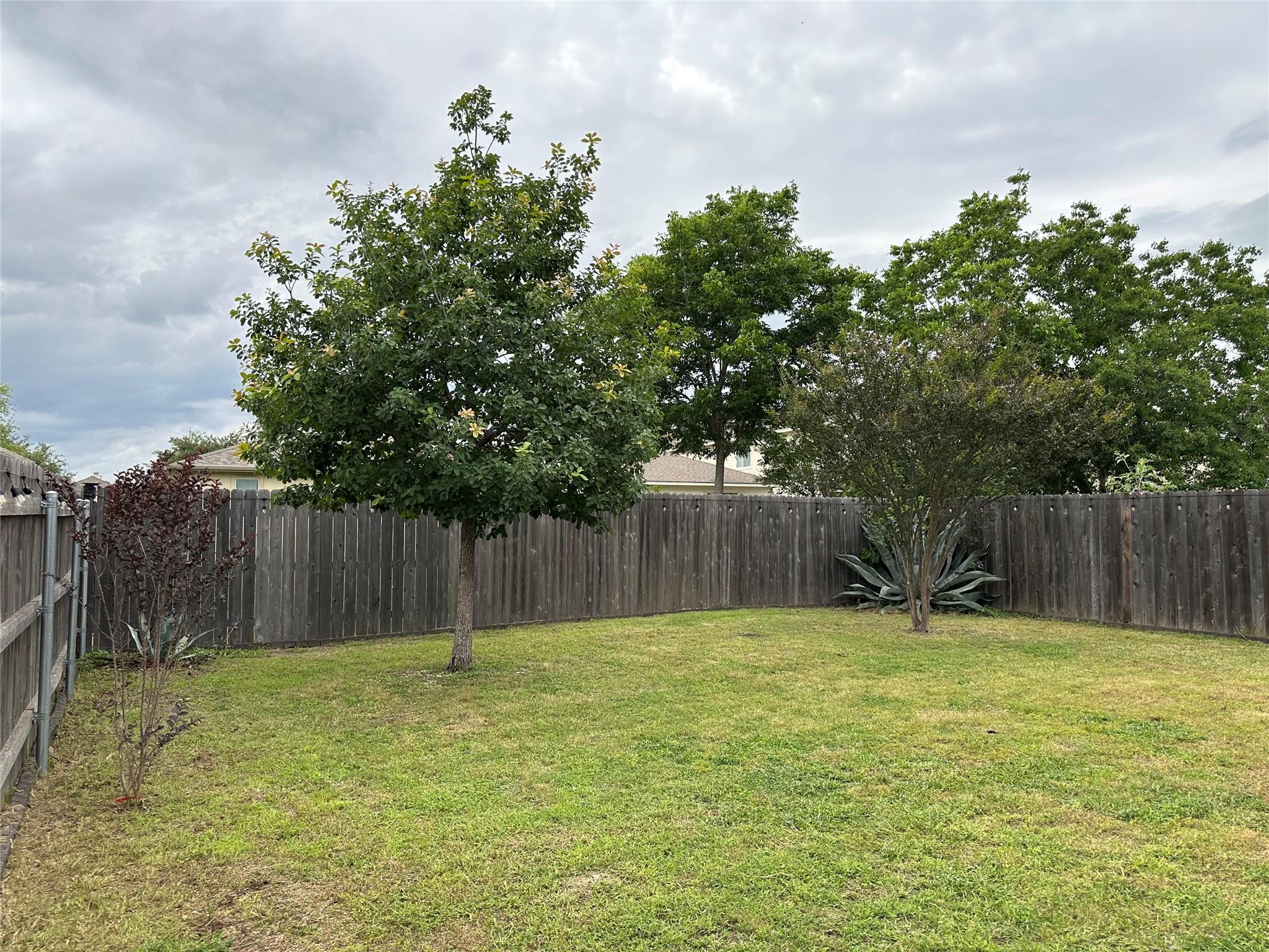 14302 Cummins Way, Manor, TX 78653
