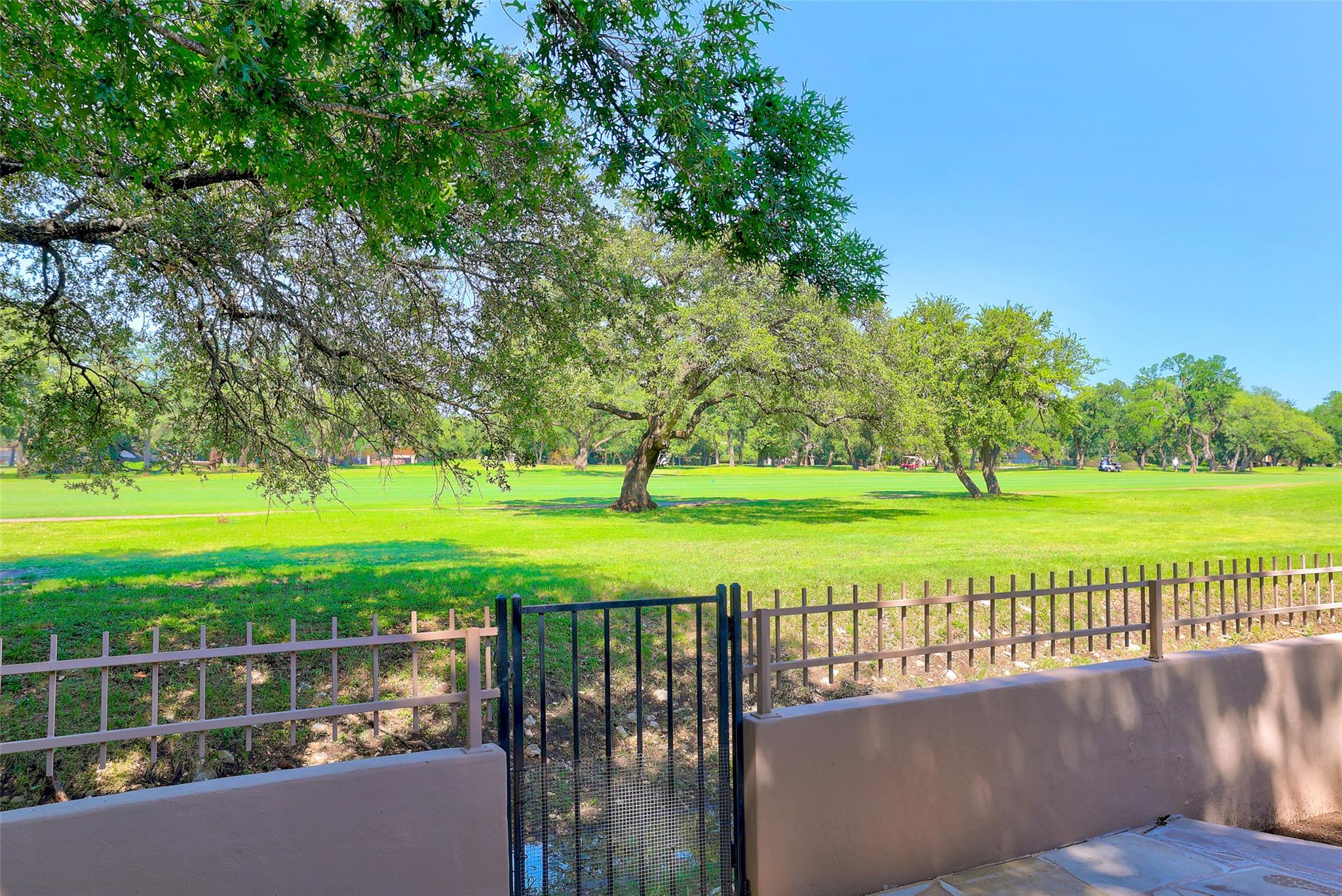 30107 Hamlet Cir, Georgetown, TX 78628