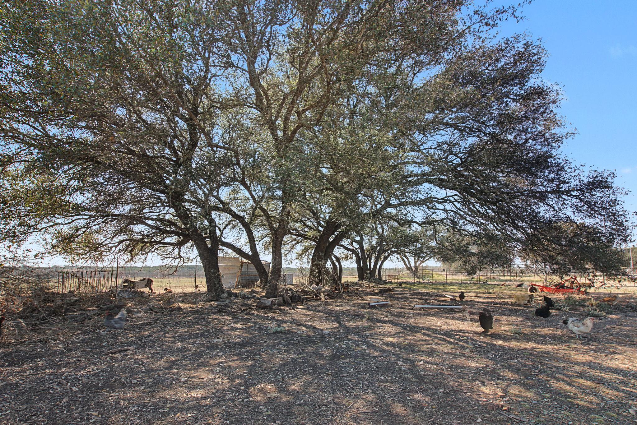 16588 N Us Highway 281 Highway, Lampasas, TX 76550