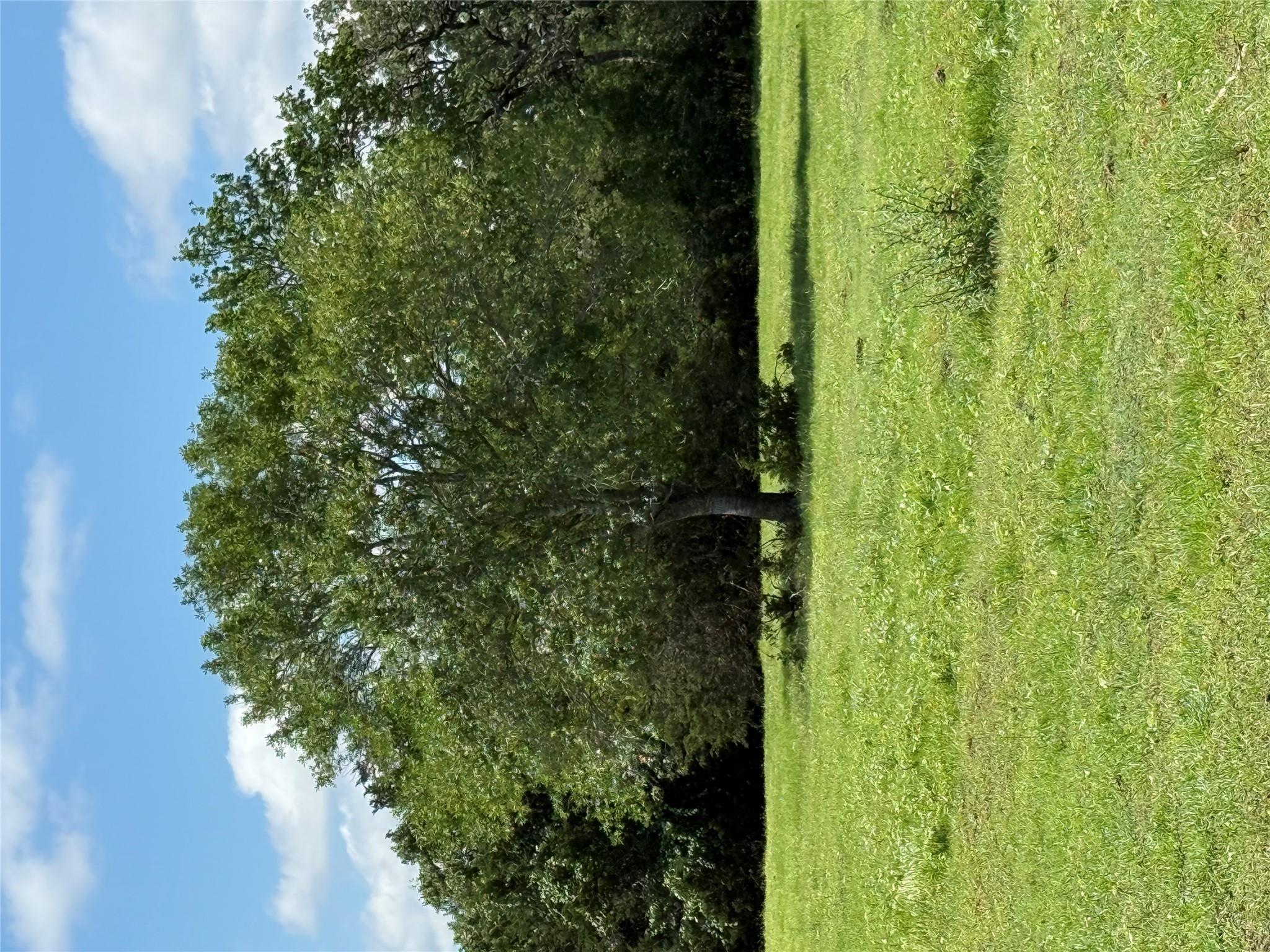1749 FM 535, Smithville, TX 78957