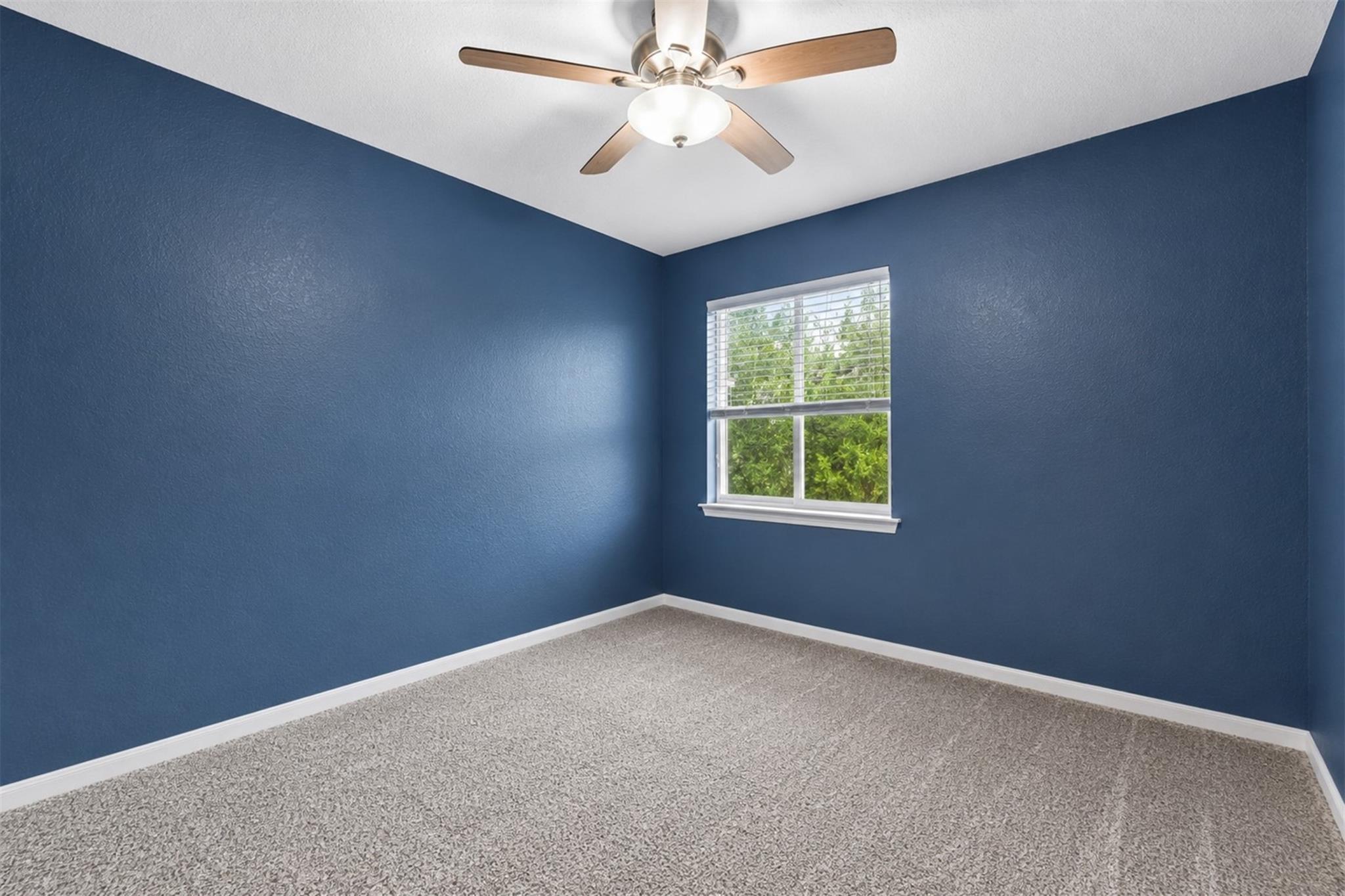 8541 White Ibis Dr, Austin, TX 78729