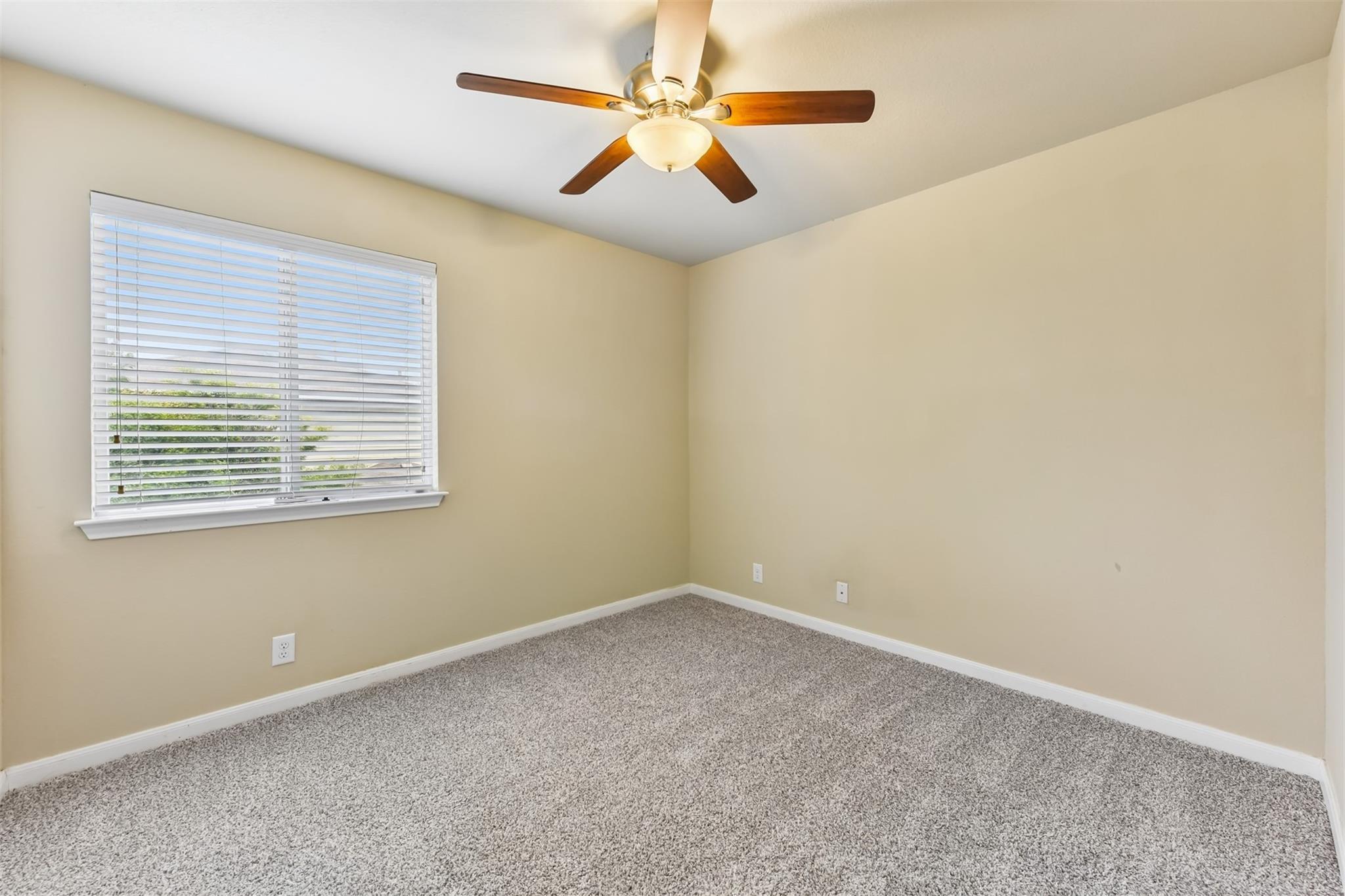 8541 White Ibis Dr, Austin, TX 78729