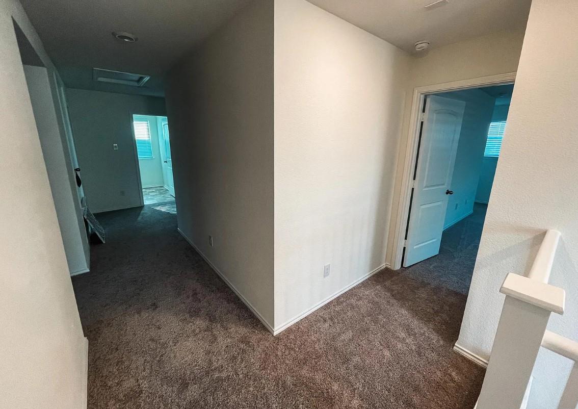 704 Zelia Gln, Leander, TX 78641