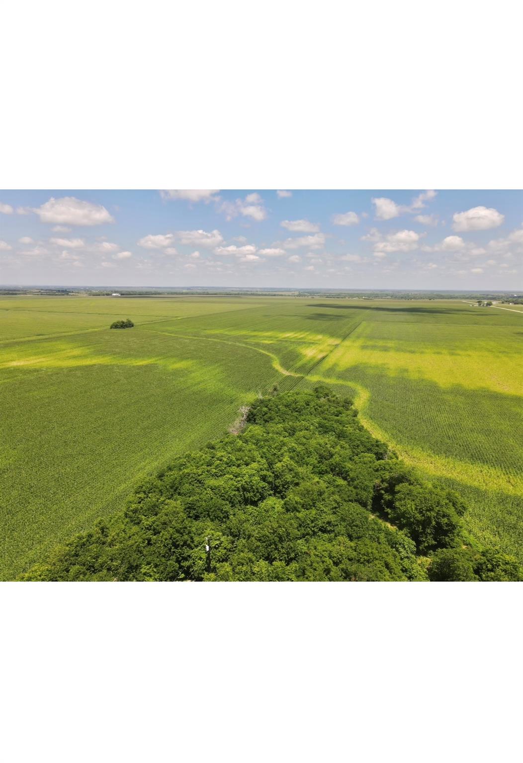 13732 Chandler Rd, Taylor, TX 76574