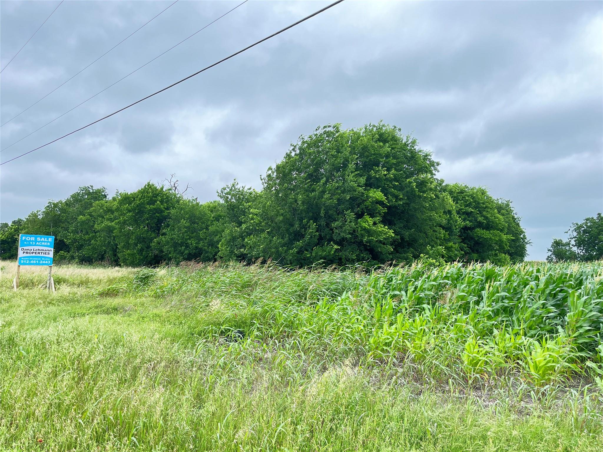 13732 Chandler Rd, Taylor, TX 76574