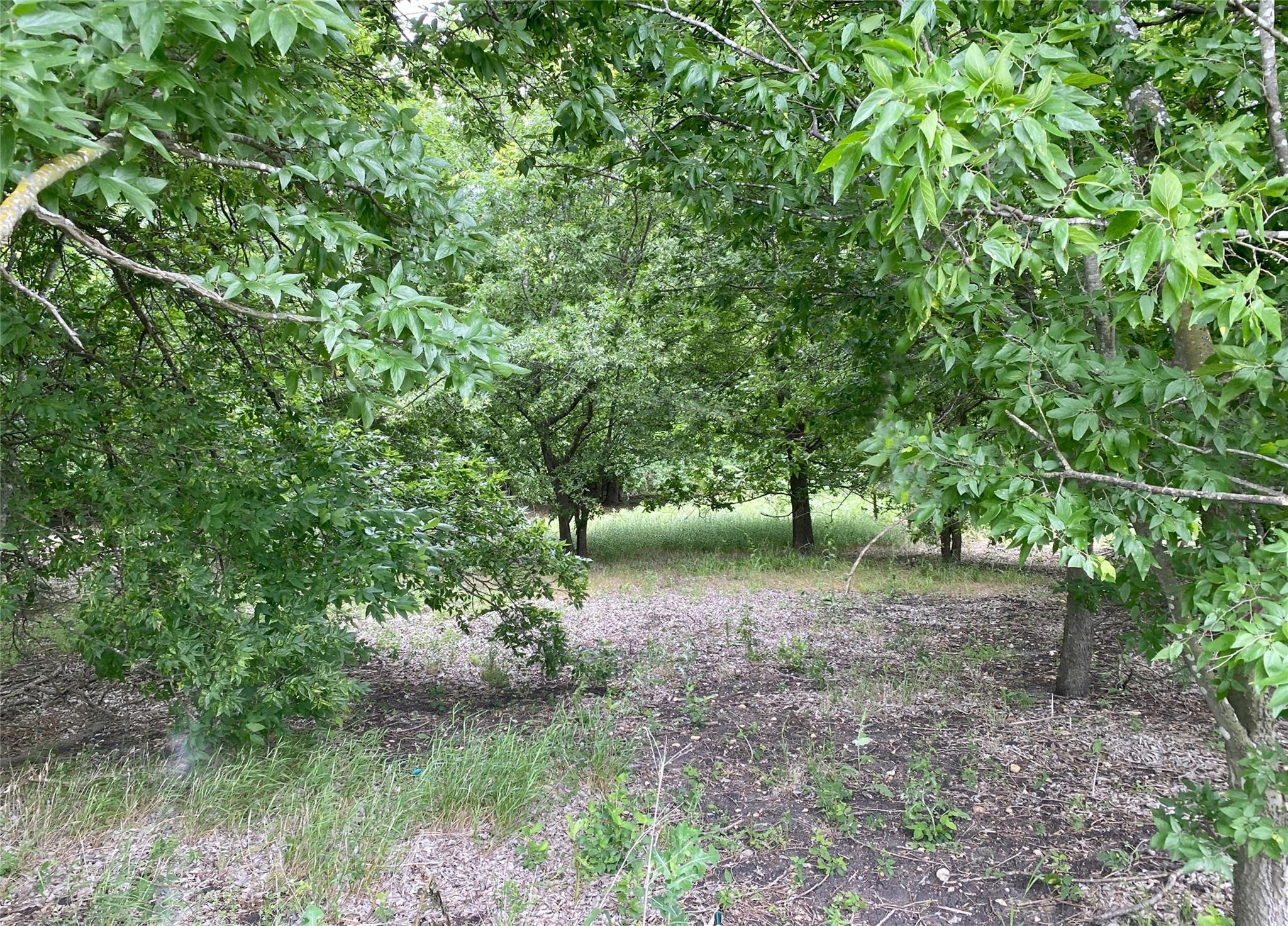13732 Chandler Rd, Taylor, TX 76574