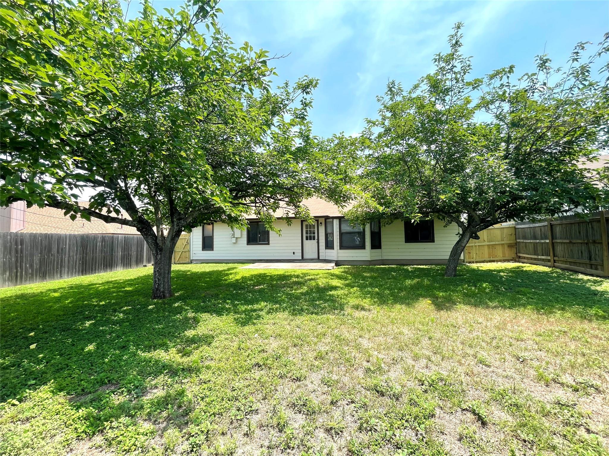 1008 Cresswell Dr, Pflugerville, TX 78660