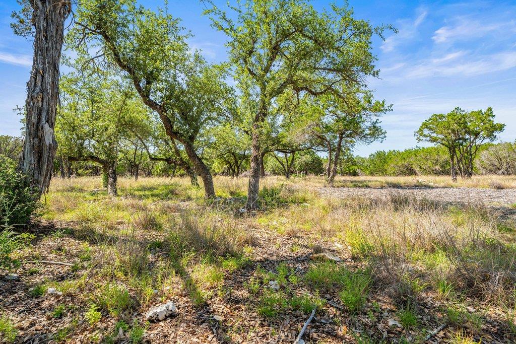 300 Stonegate Ln, Dripping Springs, TX 78620