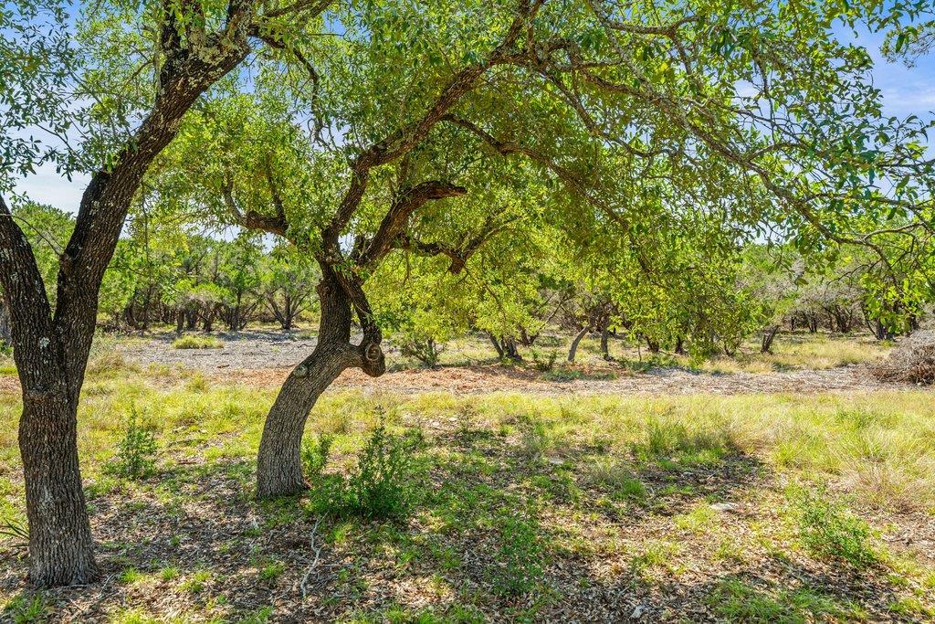 300 Stonegate Ln, Dripping Springs, TX 78620