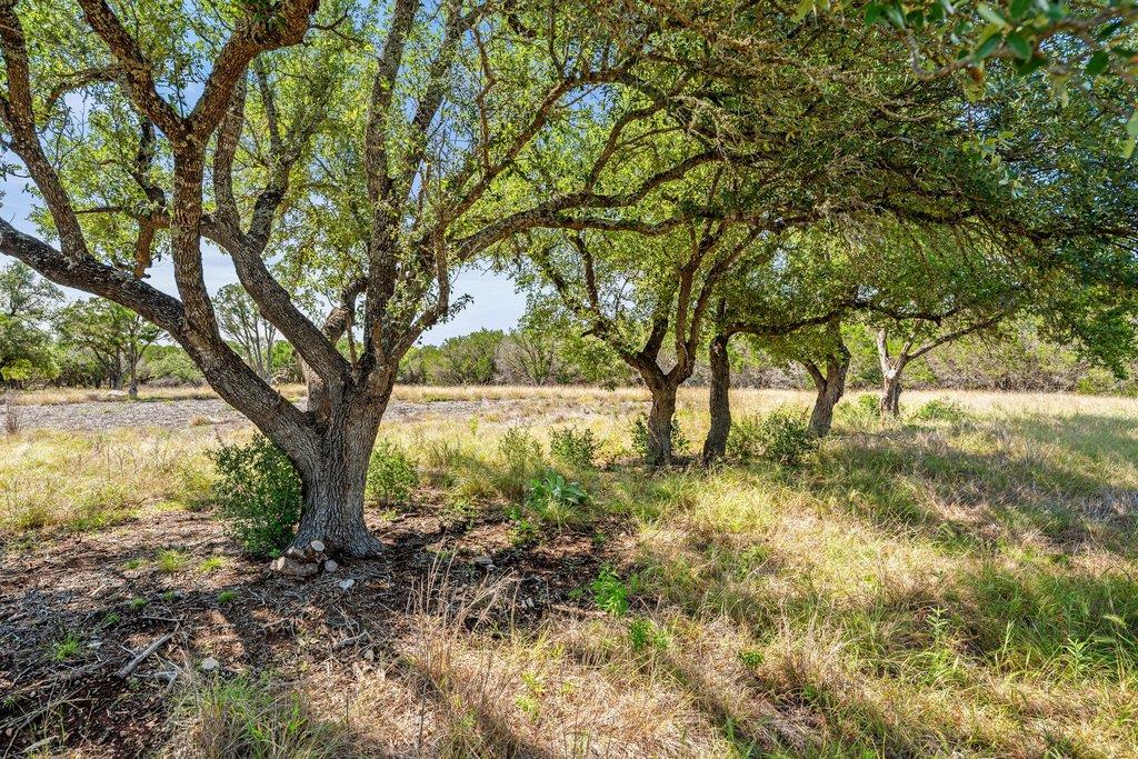300 Stonegate Ln, Dripping Springs, TX 78620