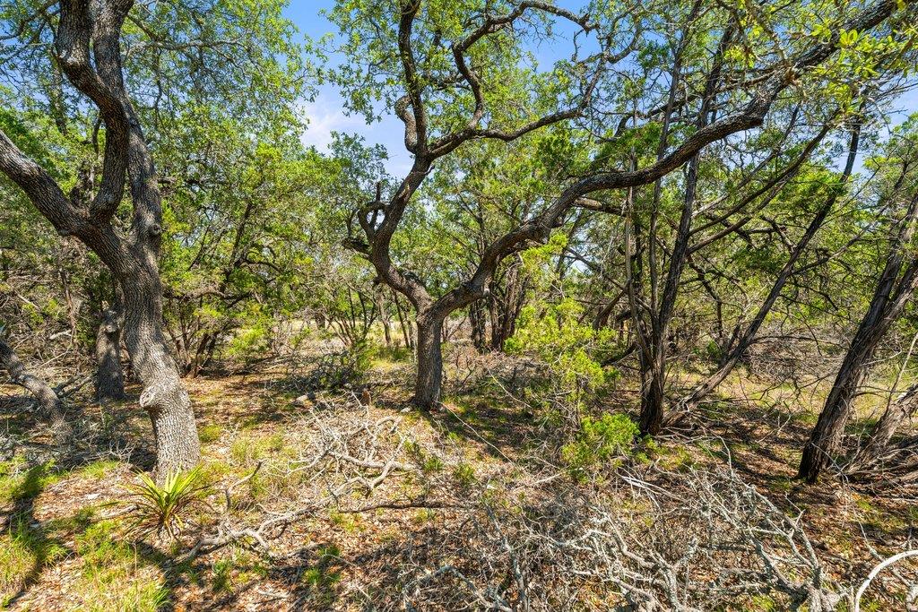 300 Stonegate Ln, Dripping Springs, TX 78620