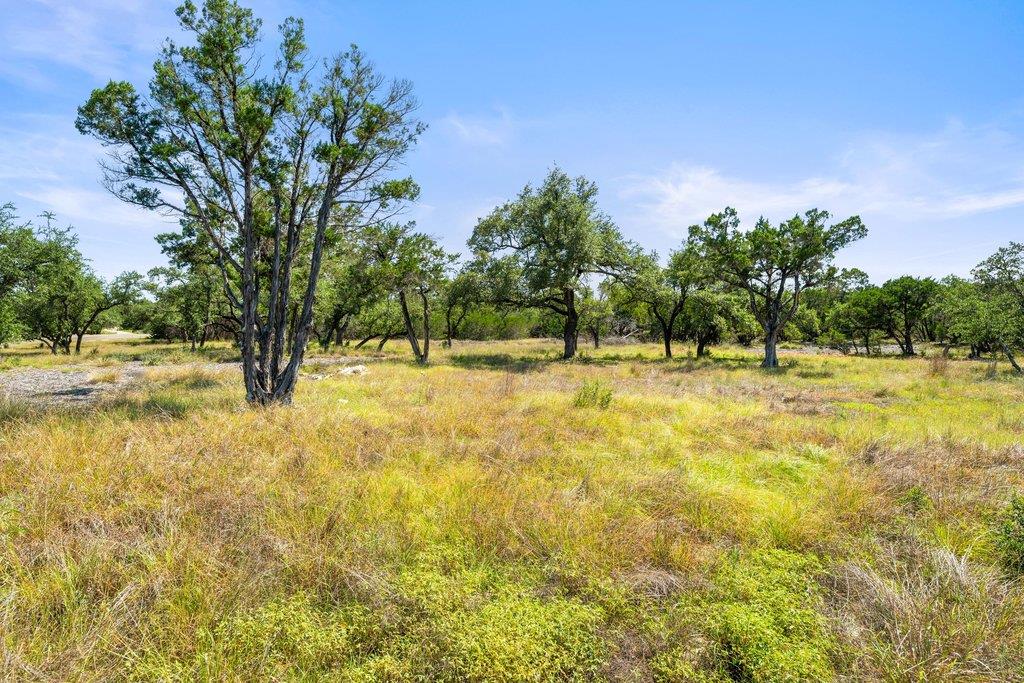 300 Stonegate Ln, Dripping Springs, TX 78620