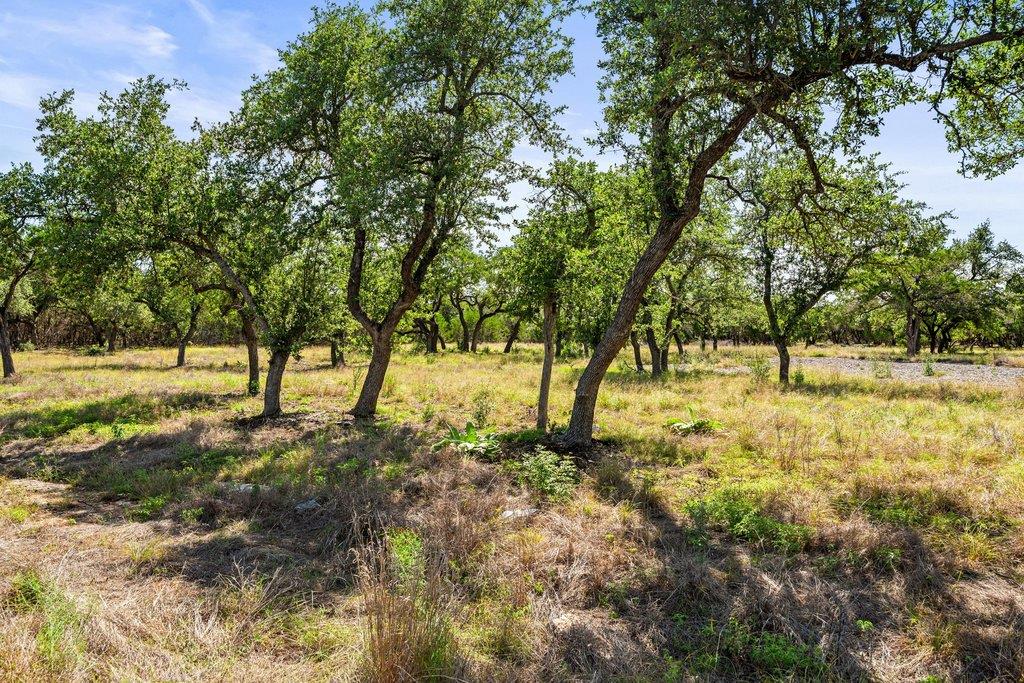 300 Stonegate Ln, Dripping Springs, TX 78620