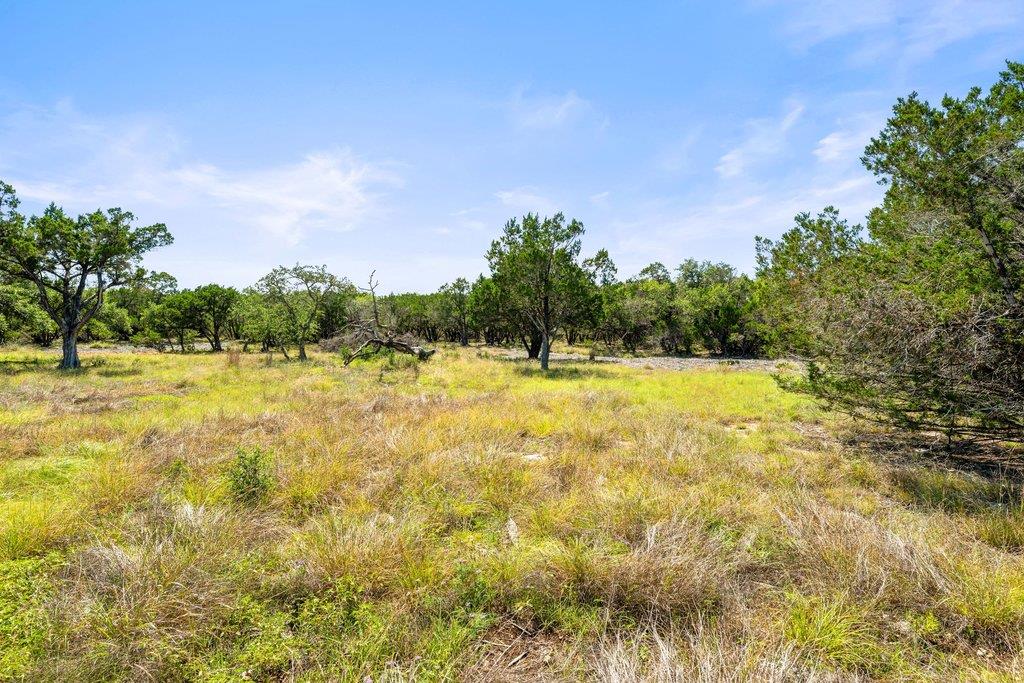 300 Stonegate Ln, Dripping Springs, TX 78620